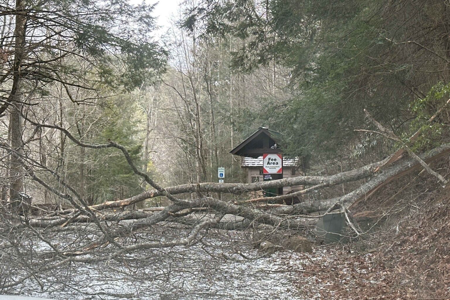 Damage Report: Winter Storm Ravages Appalachian Trail in Georgia Damage Report: Winter Storm Ravages Appalachian Trail in Georgia