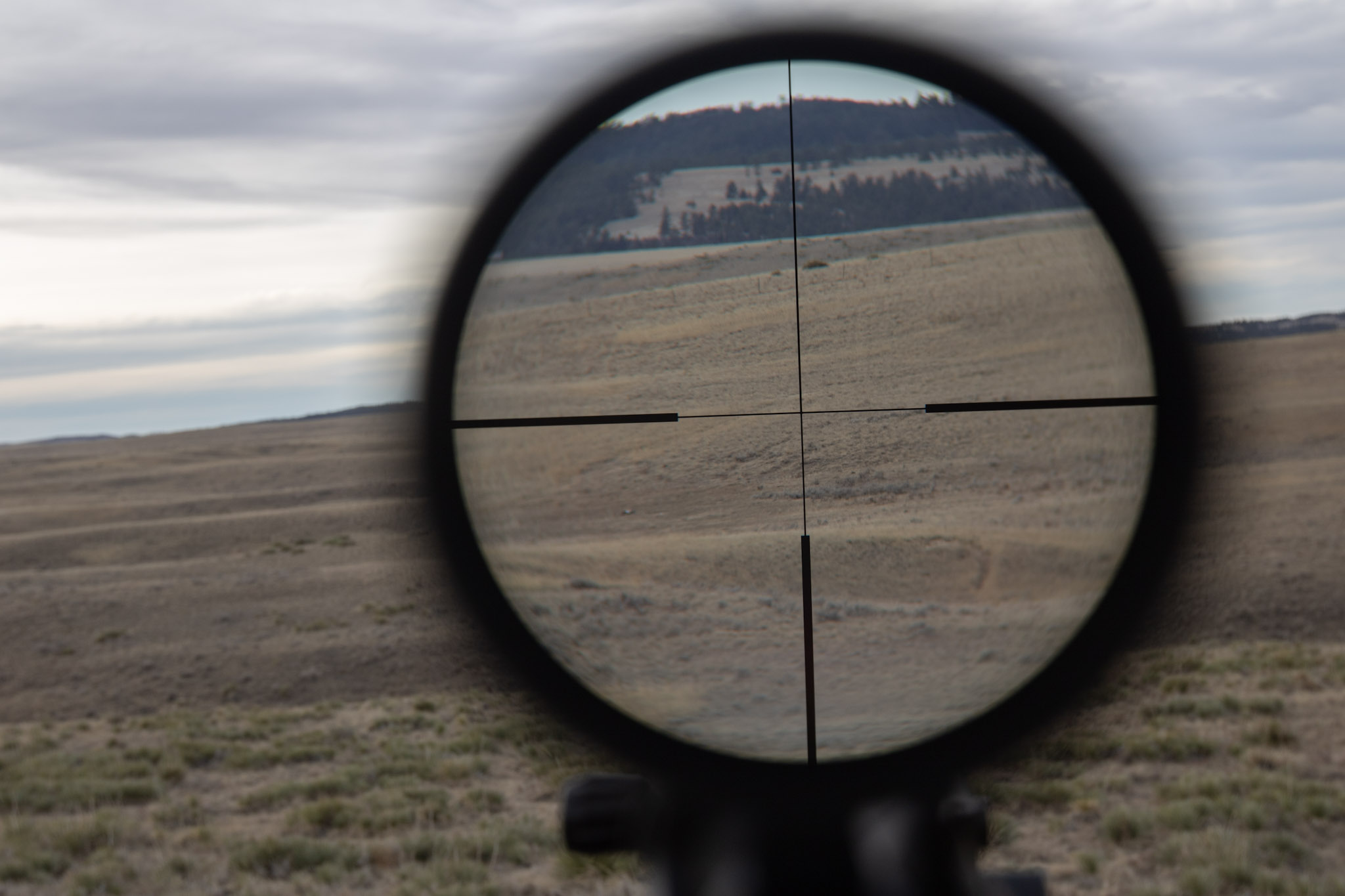 A view through the Zeiss Conquest V4 riflescope.