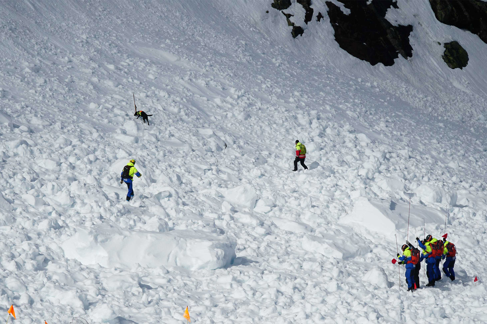 recco avalanche rescue