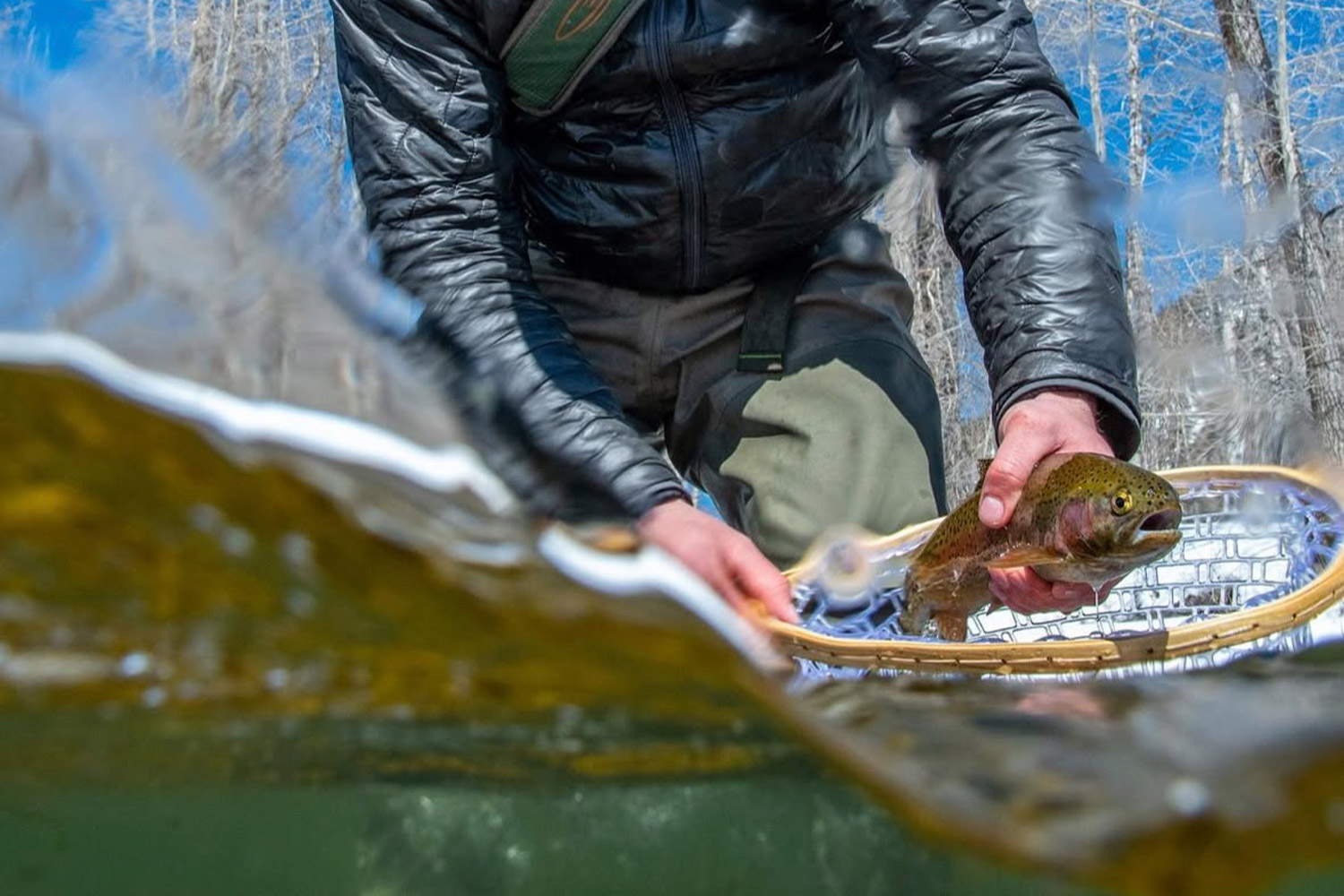 An angler wearing insulated outerwear holds a trout in a landing net partially submerged in cold water