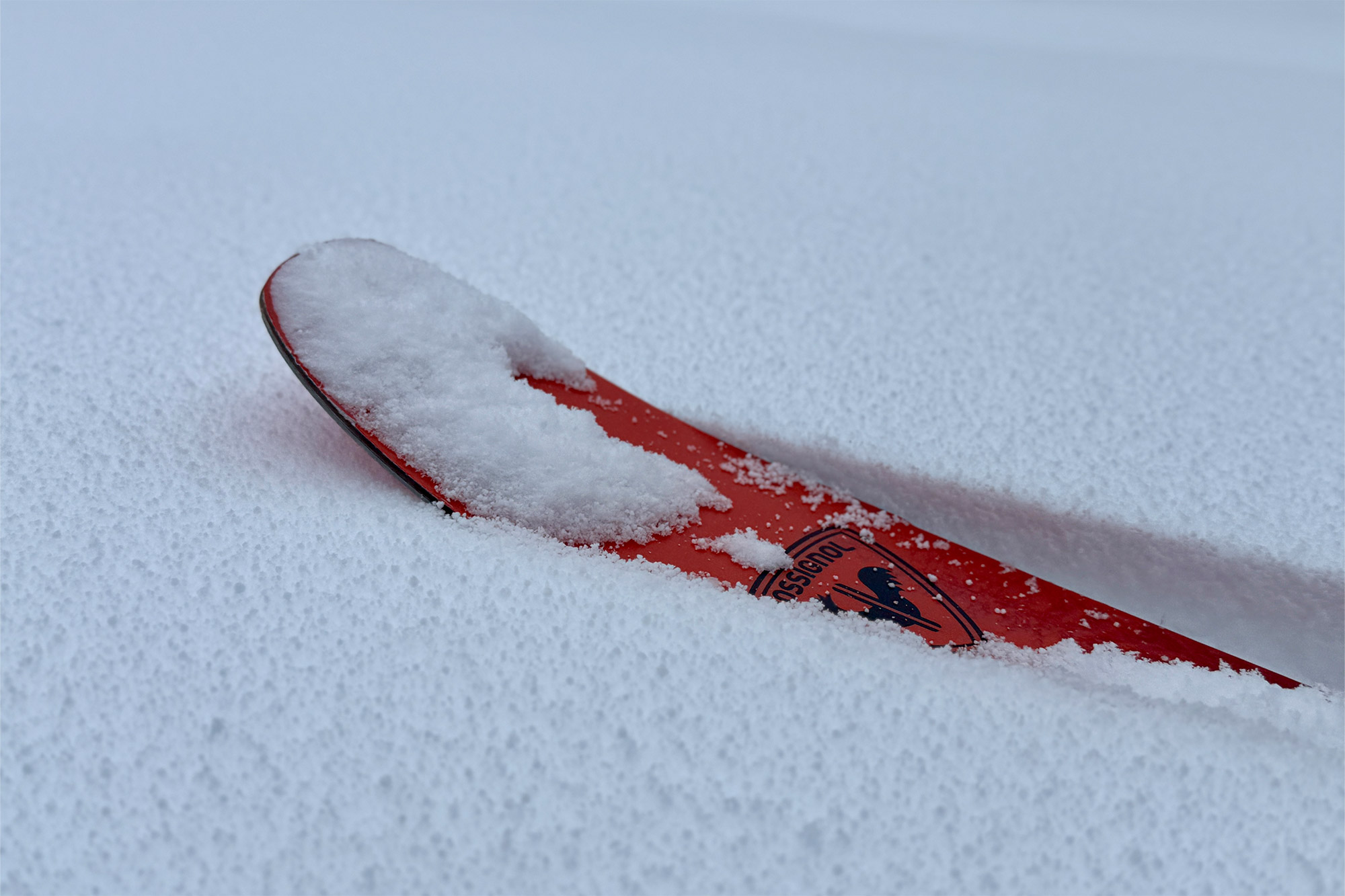 The tip of a Rossignol XP 105 Positrack ski is partially buried in soft snow