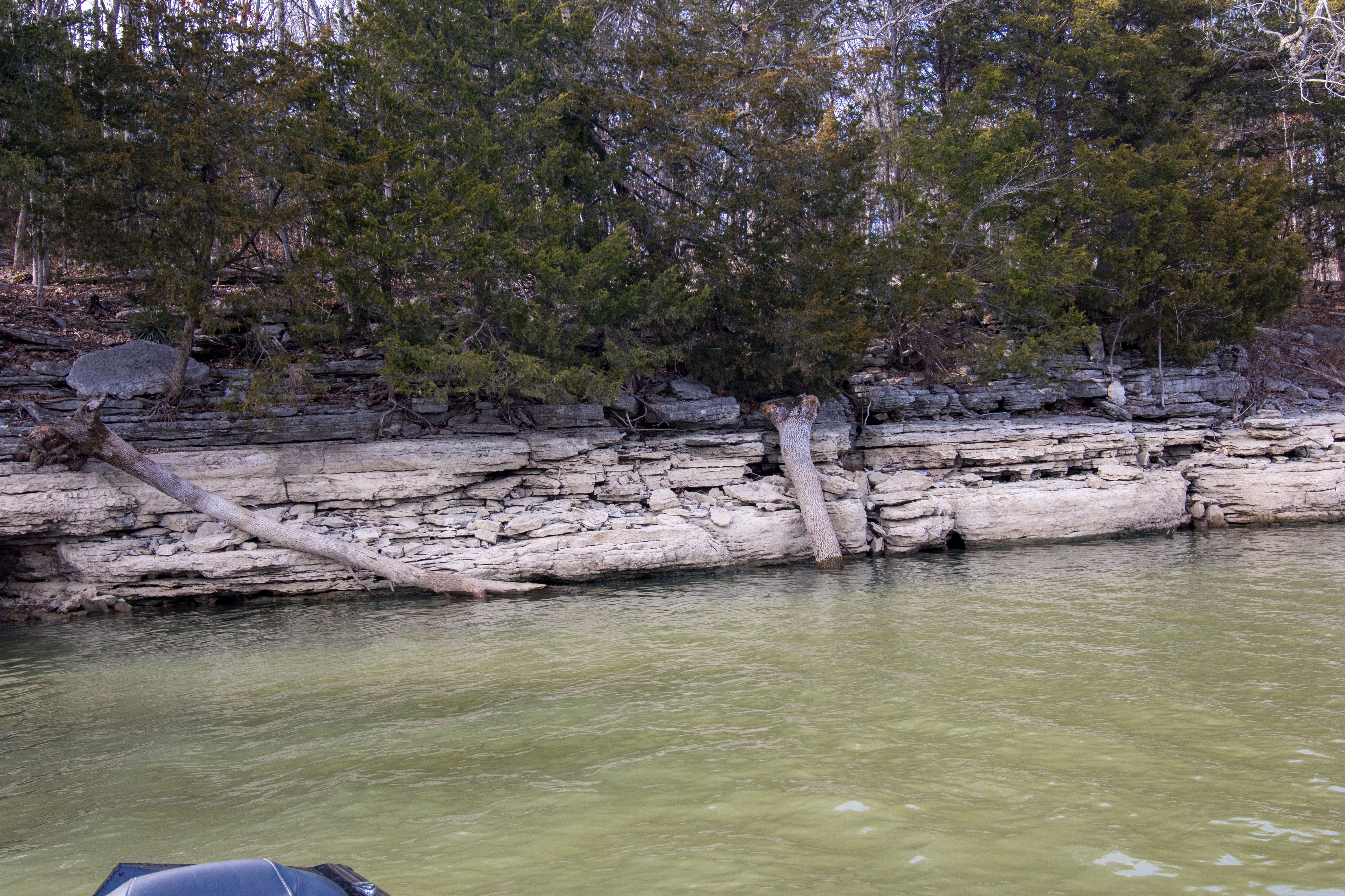 Trees going into a lake on a rock ledge.
