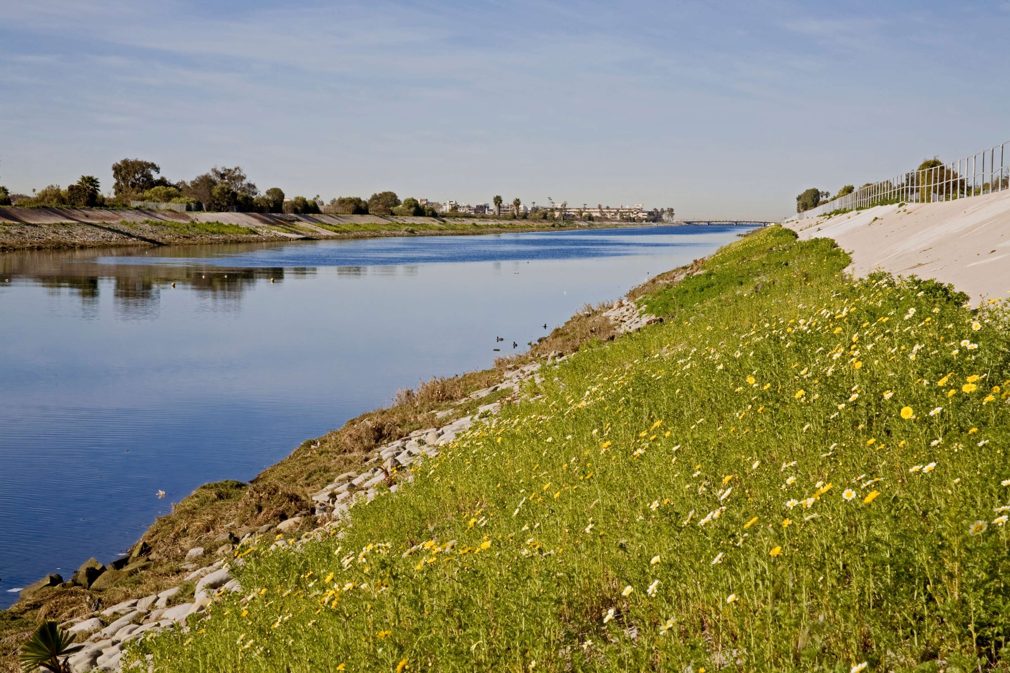 flowers and grass alongside large river 