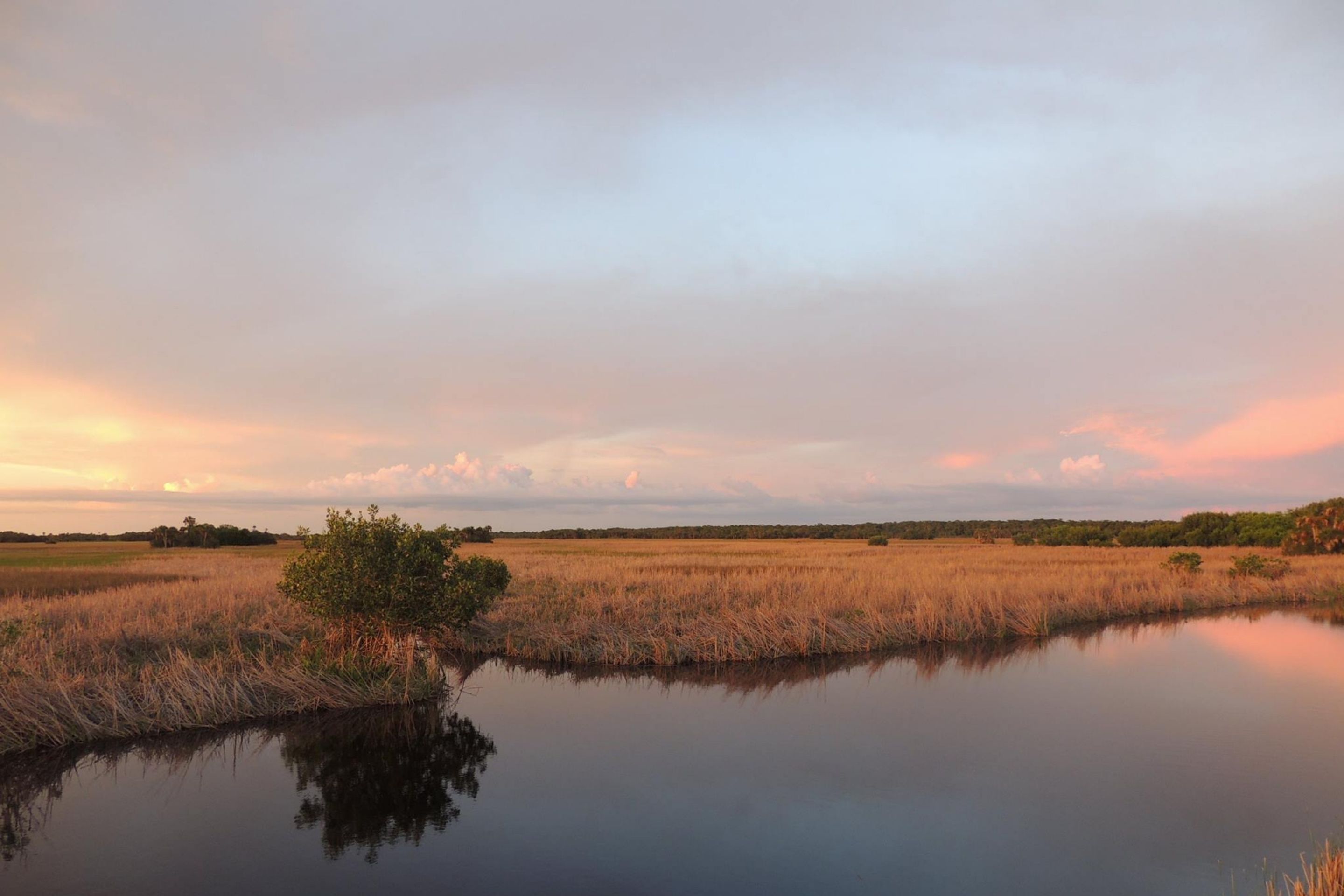 sunset over wetlands
