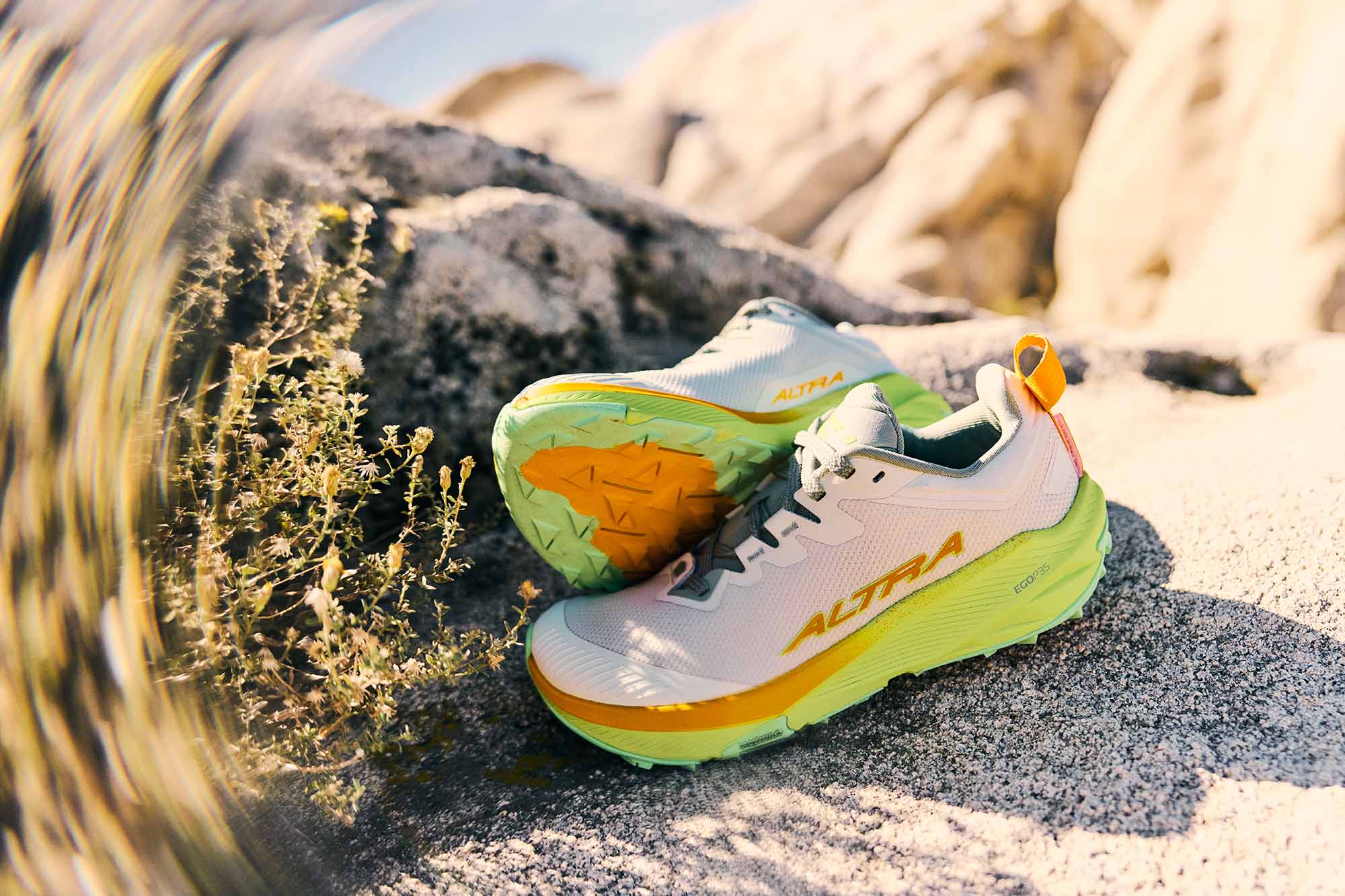 experience 3 wild women's