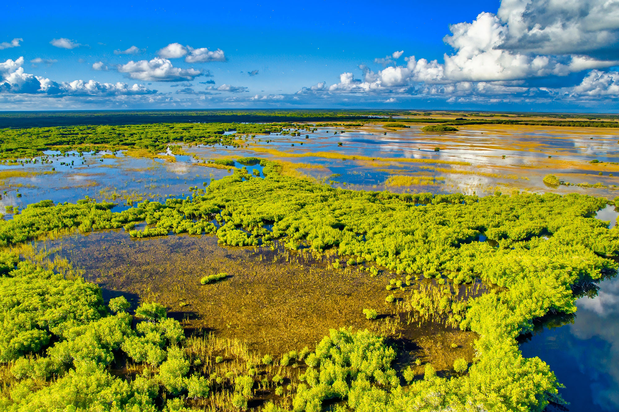 Everglades National Park