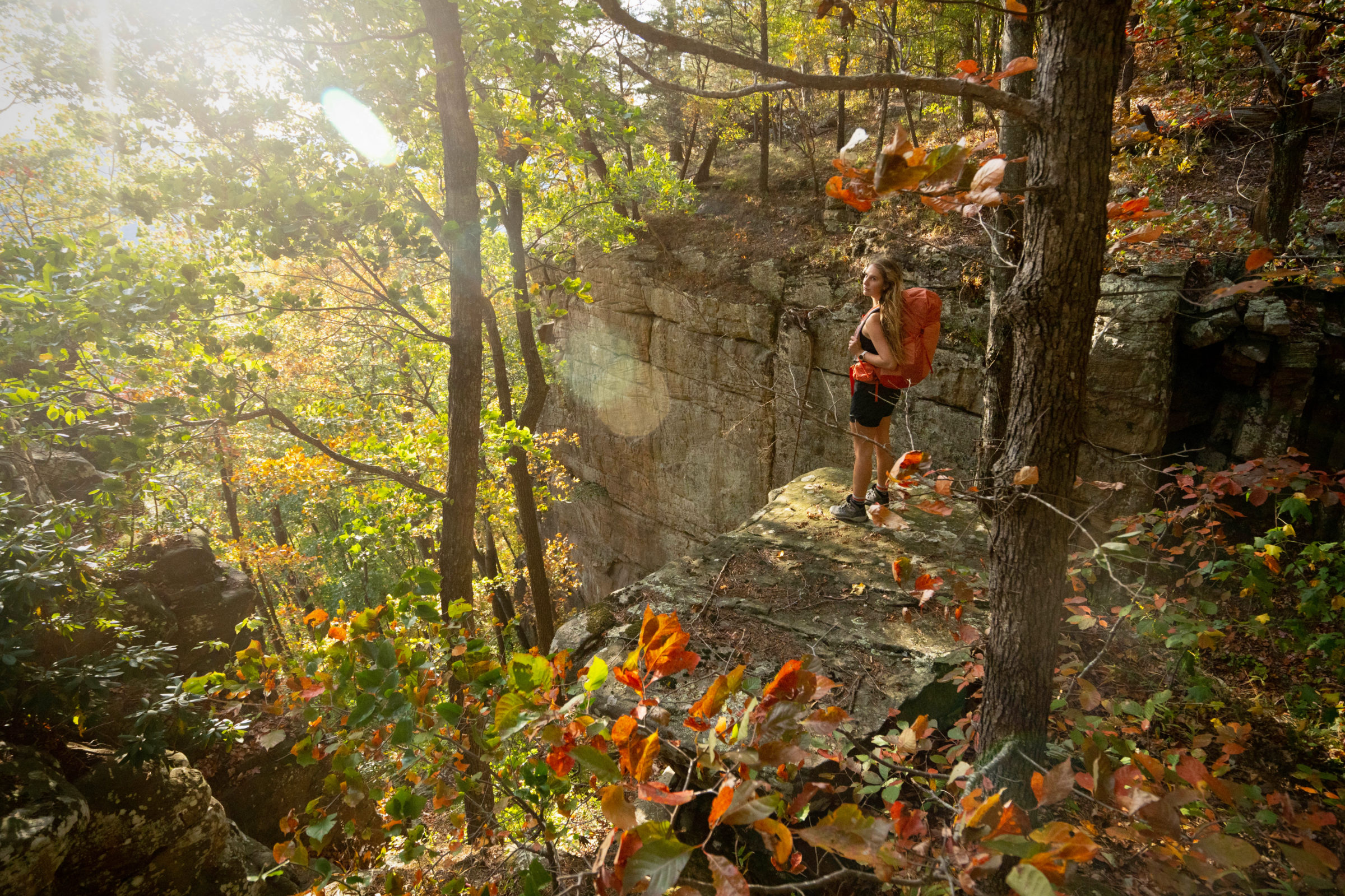 backpacker wearing an orange deuter pack in forest