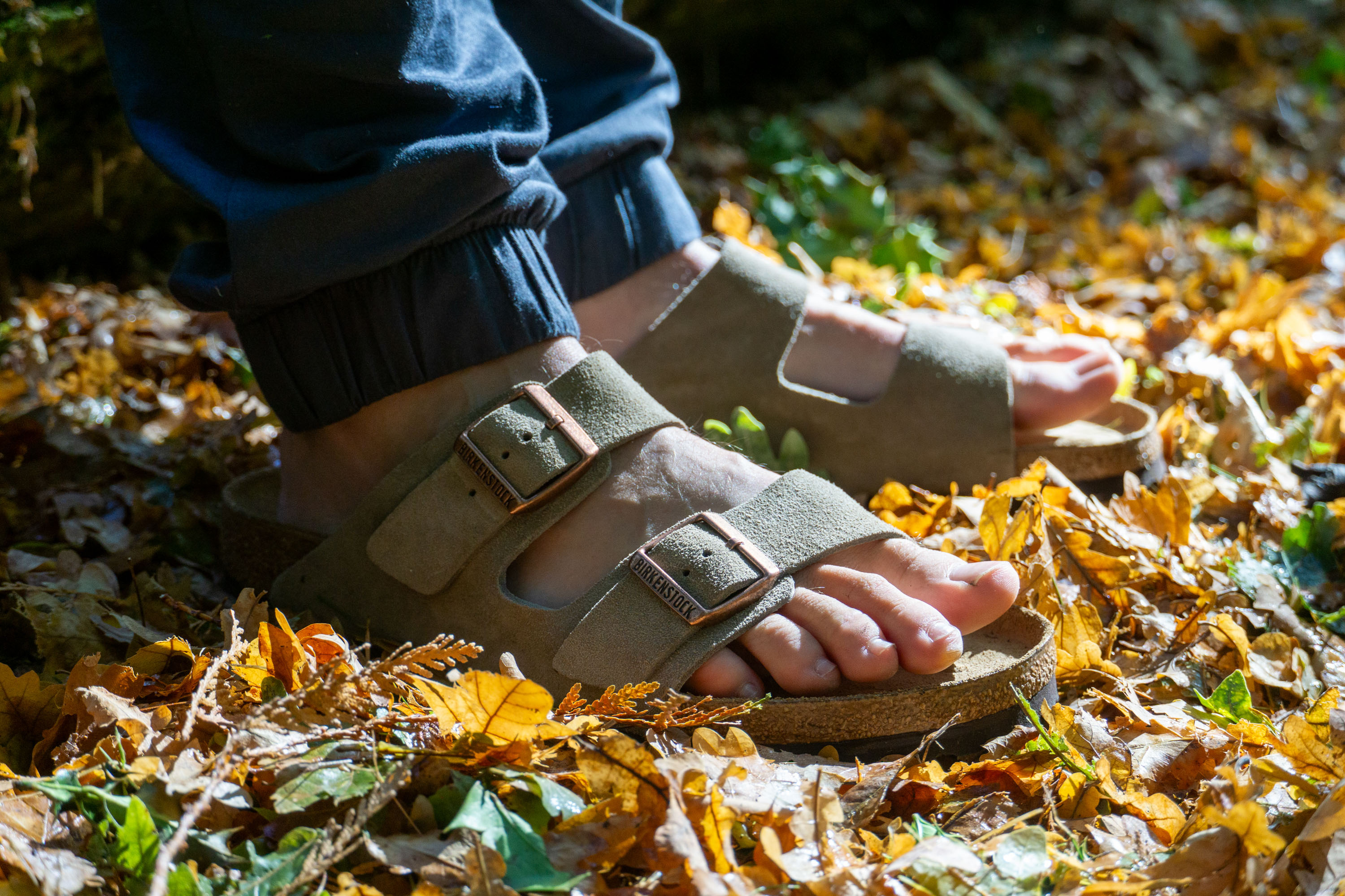 Birkenstock Arizona Sandals in Leaves