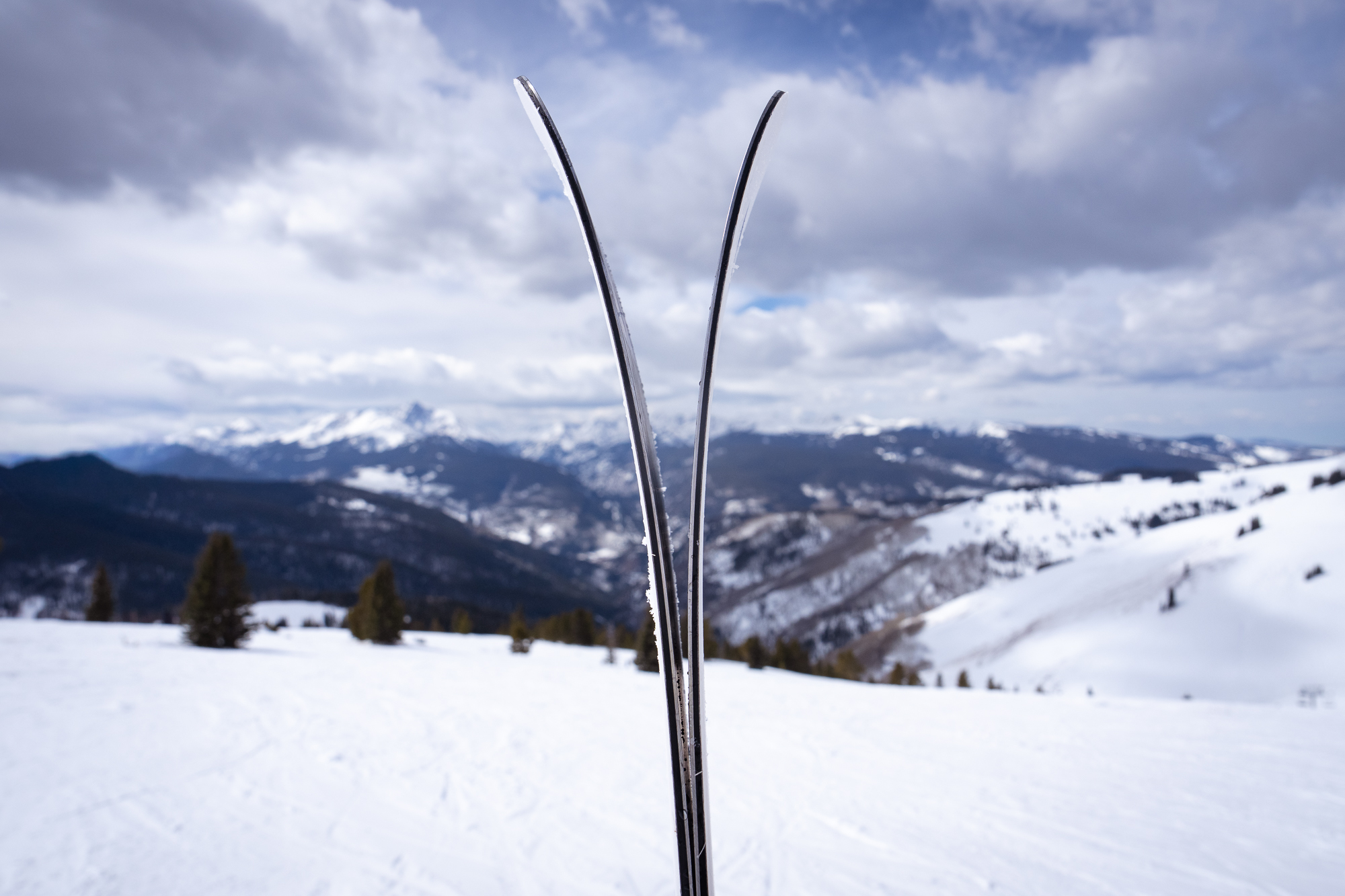 Fischer Nothing skis