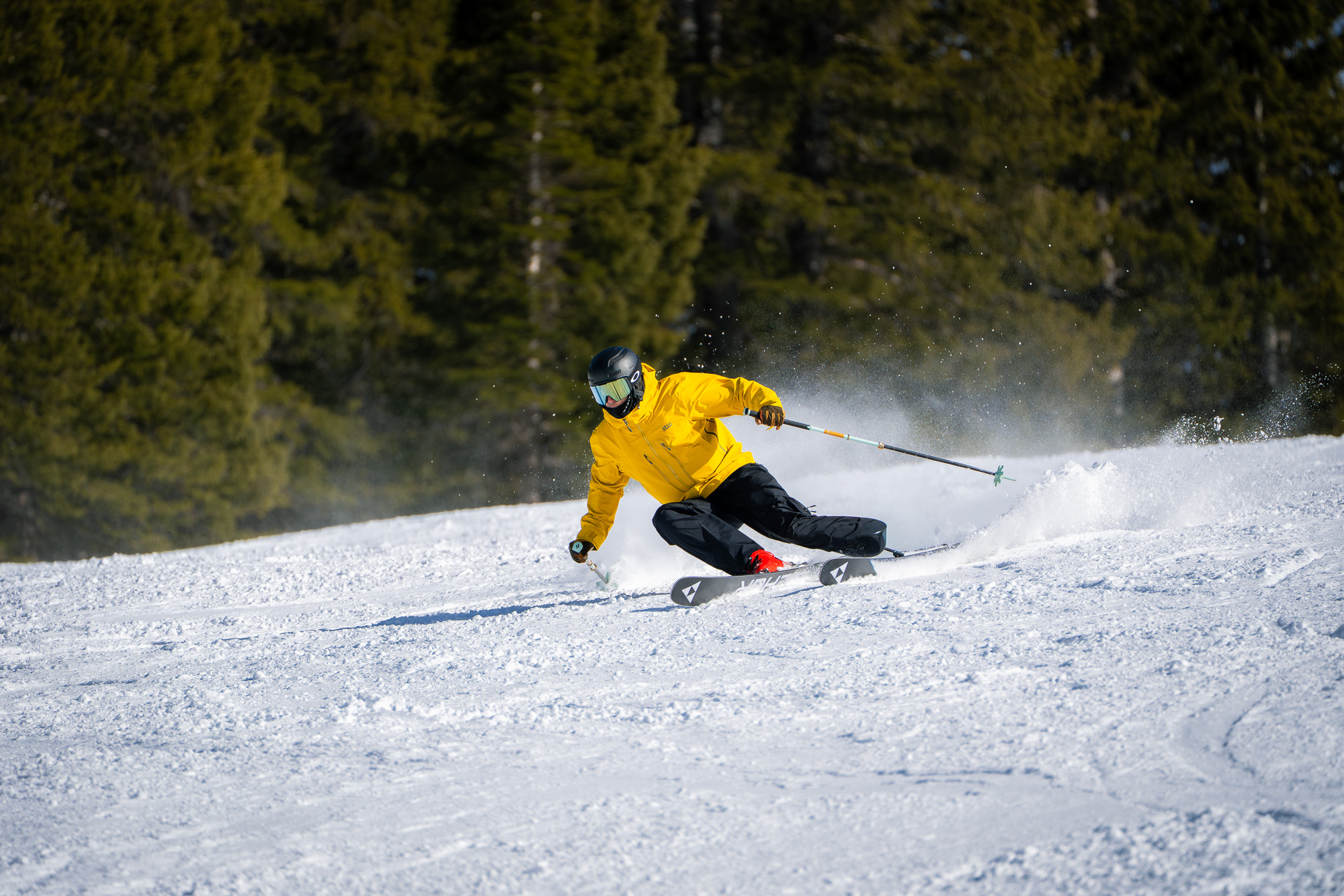 Fischer Nothing skis