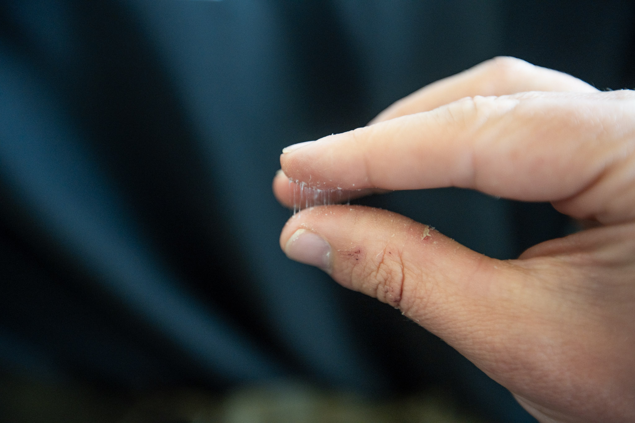The slime layer from the Berkley Lab series on an anglers fingers