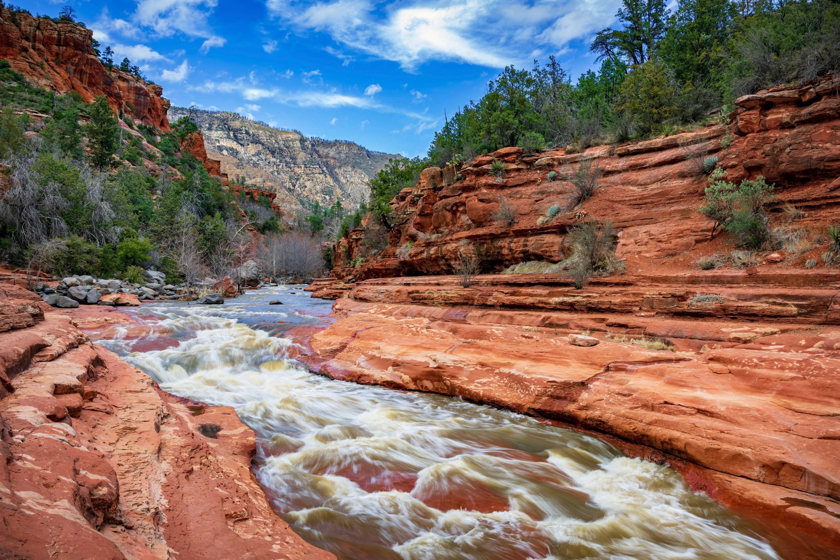 stream cuts through rocky canyon