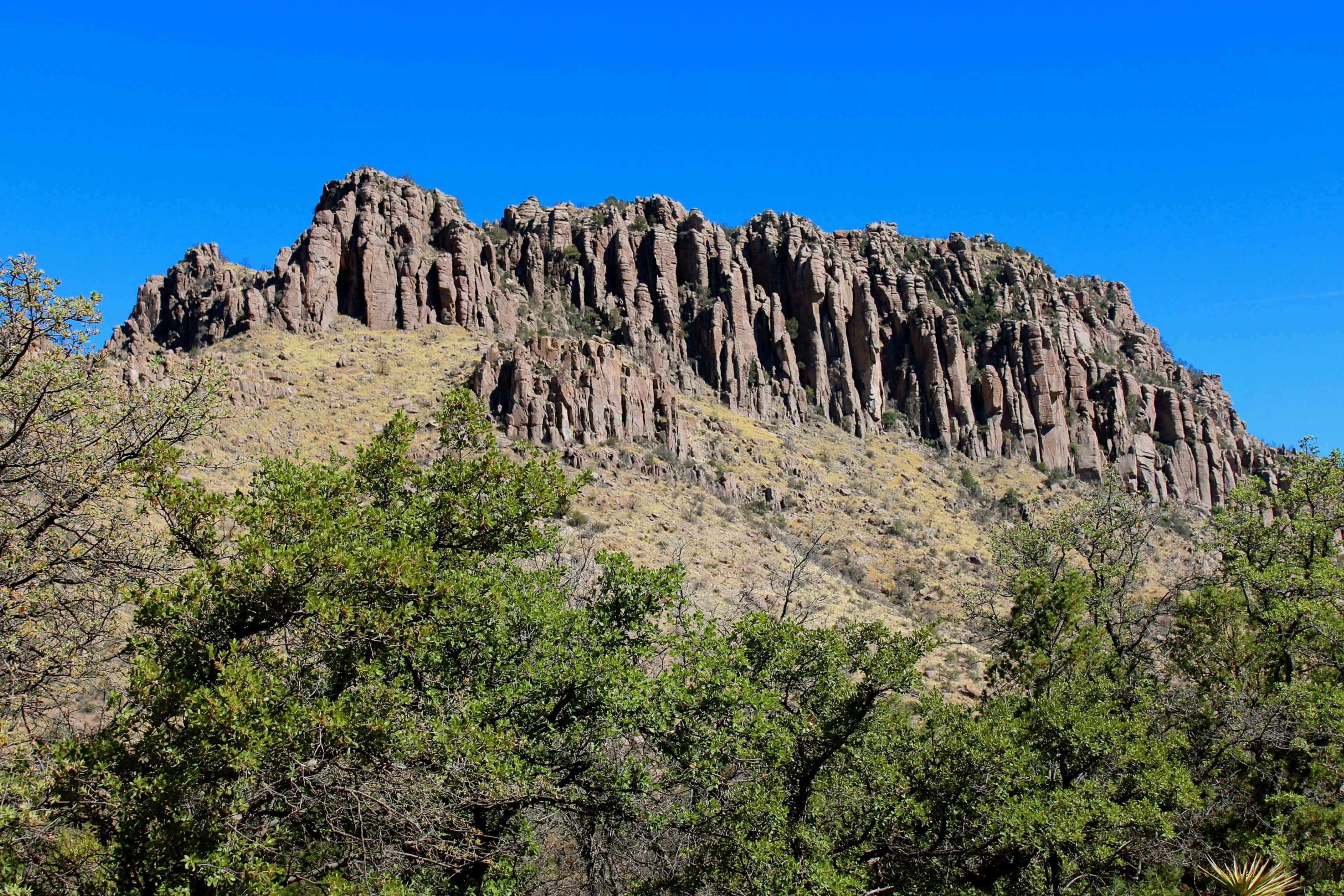 view from below of trees and rocky pinnacles