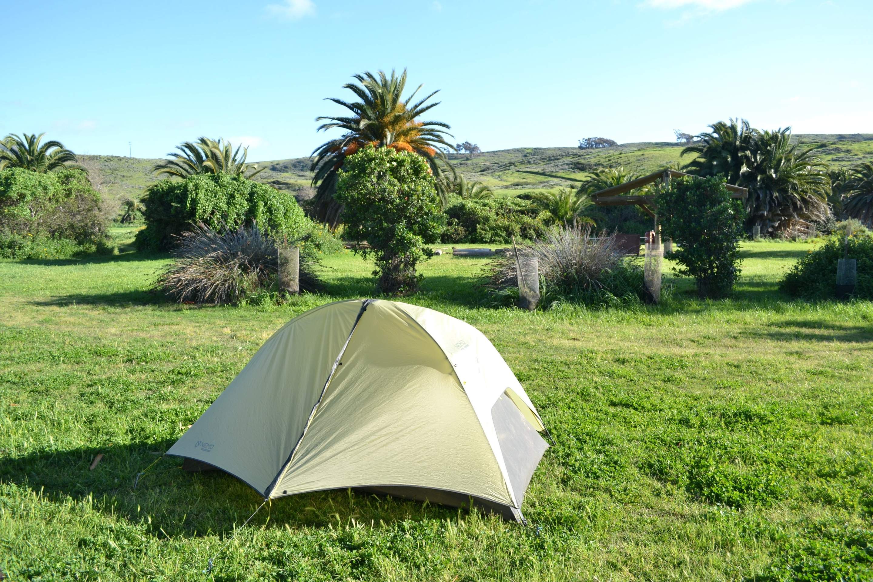 tent set up on sunny day in grass