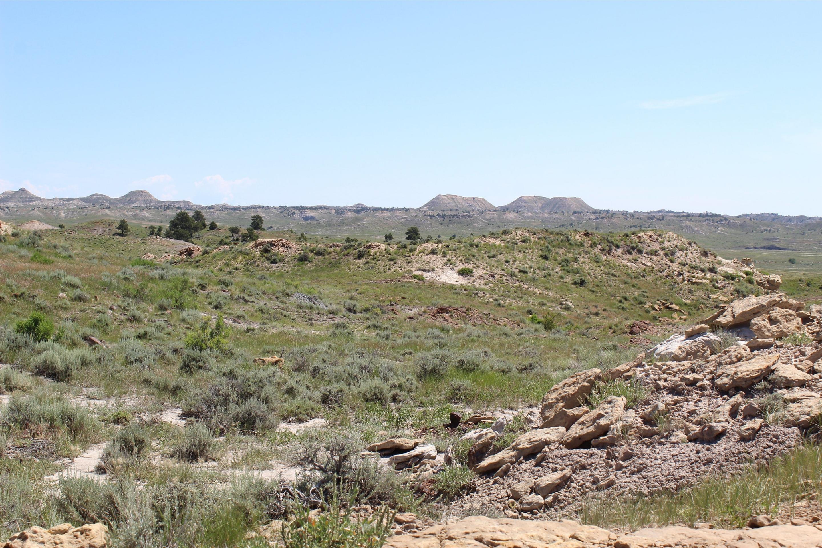 open prairie with rocks and grass
