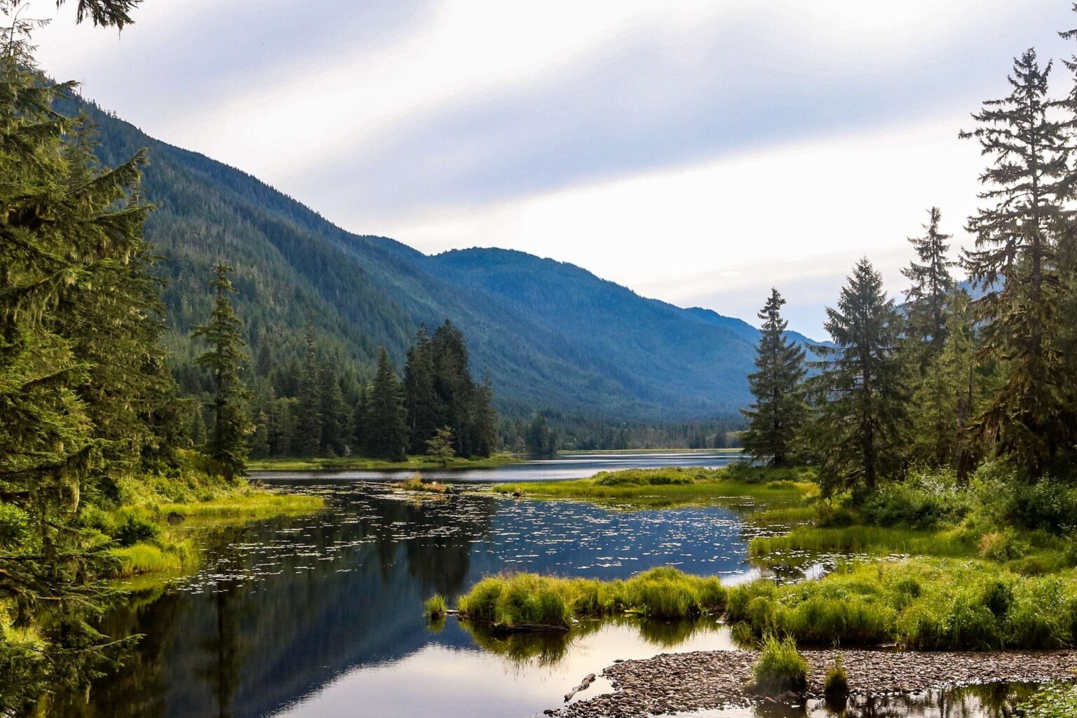 Alaska Court Rules Against Logging in America’s Largest National Forest Alaska Court Rules Against Logging in America’s Largest National Forest