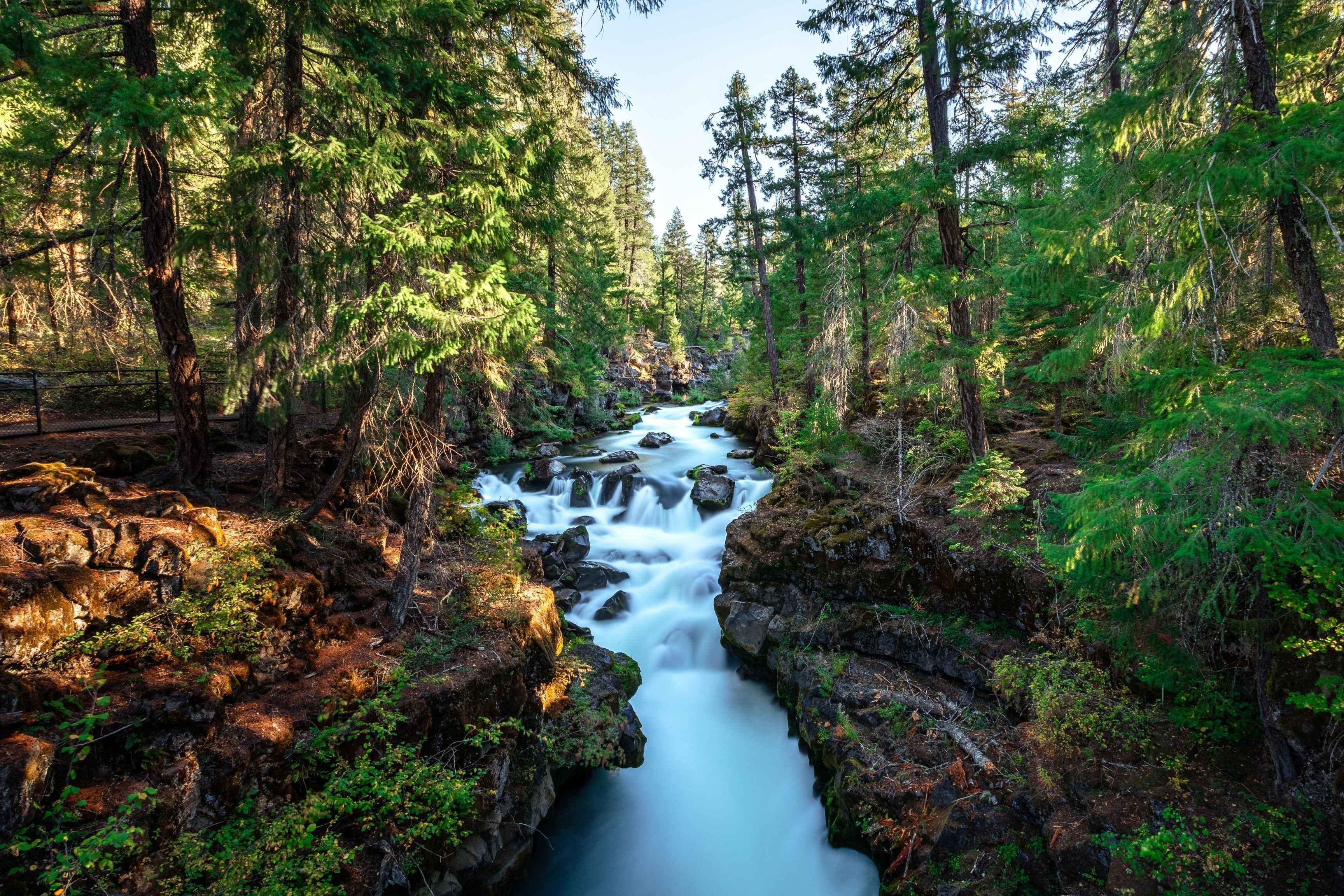 river flows down waterfall in forest