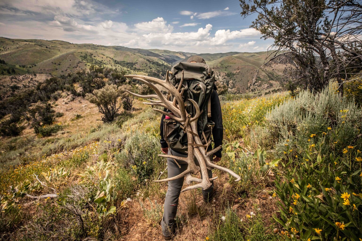 How to Shed Hunt | GearJunkie