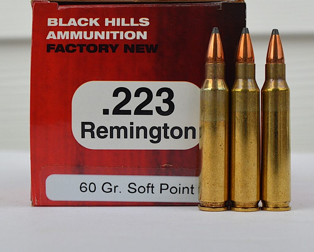 Black Hills Ammunition 60-grain JSP