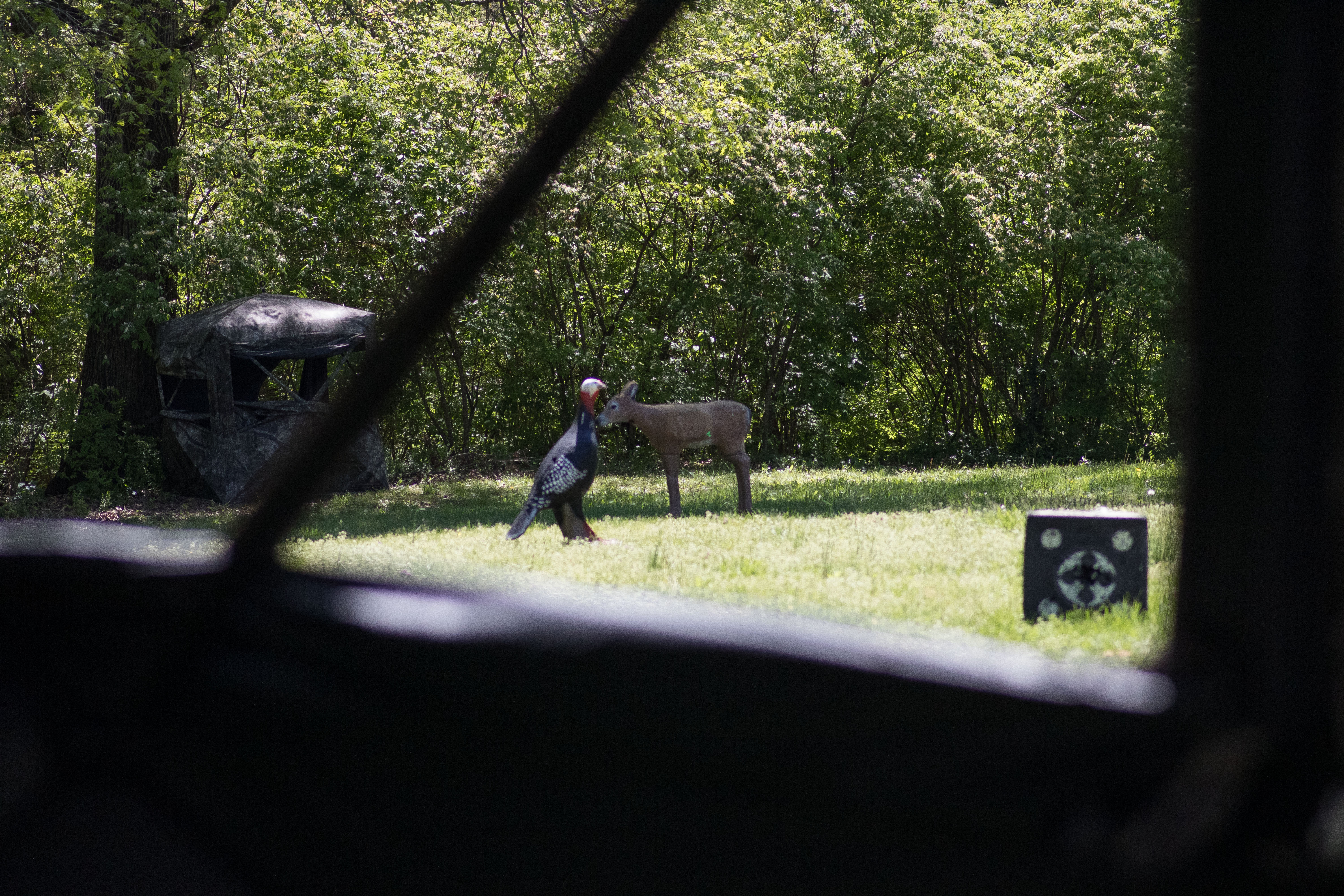 A hunting blind set up on a 3D Archery Course for practice