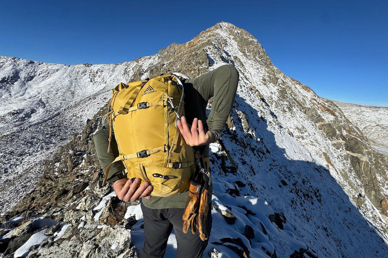 Gregory Alpinisto 30 backpack rear view