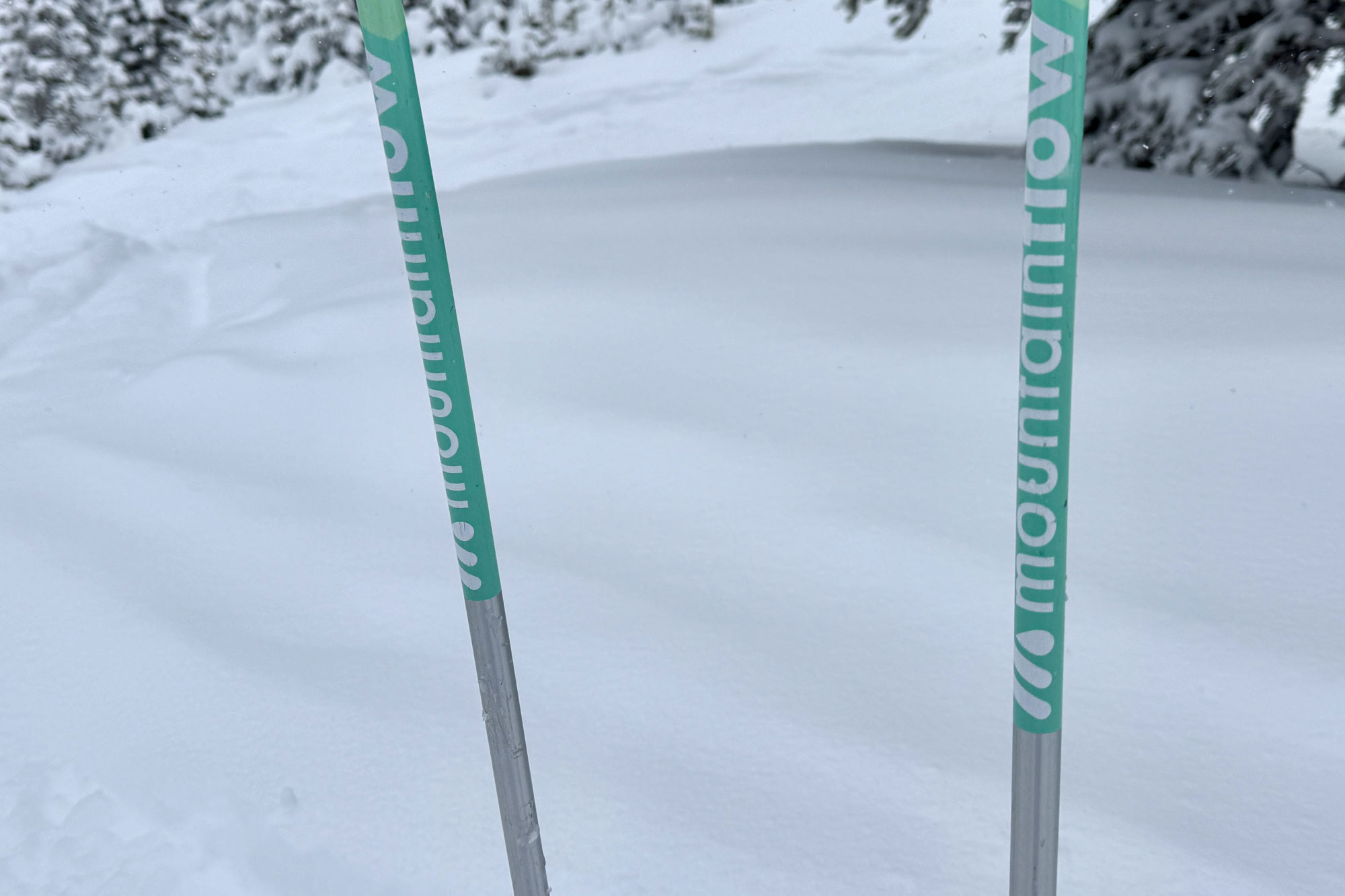 MountainFlow Corkpro Ski Poles
