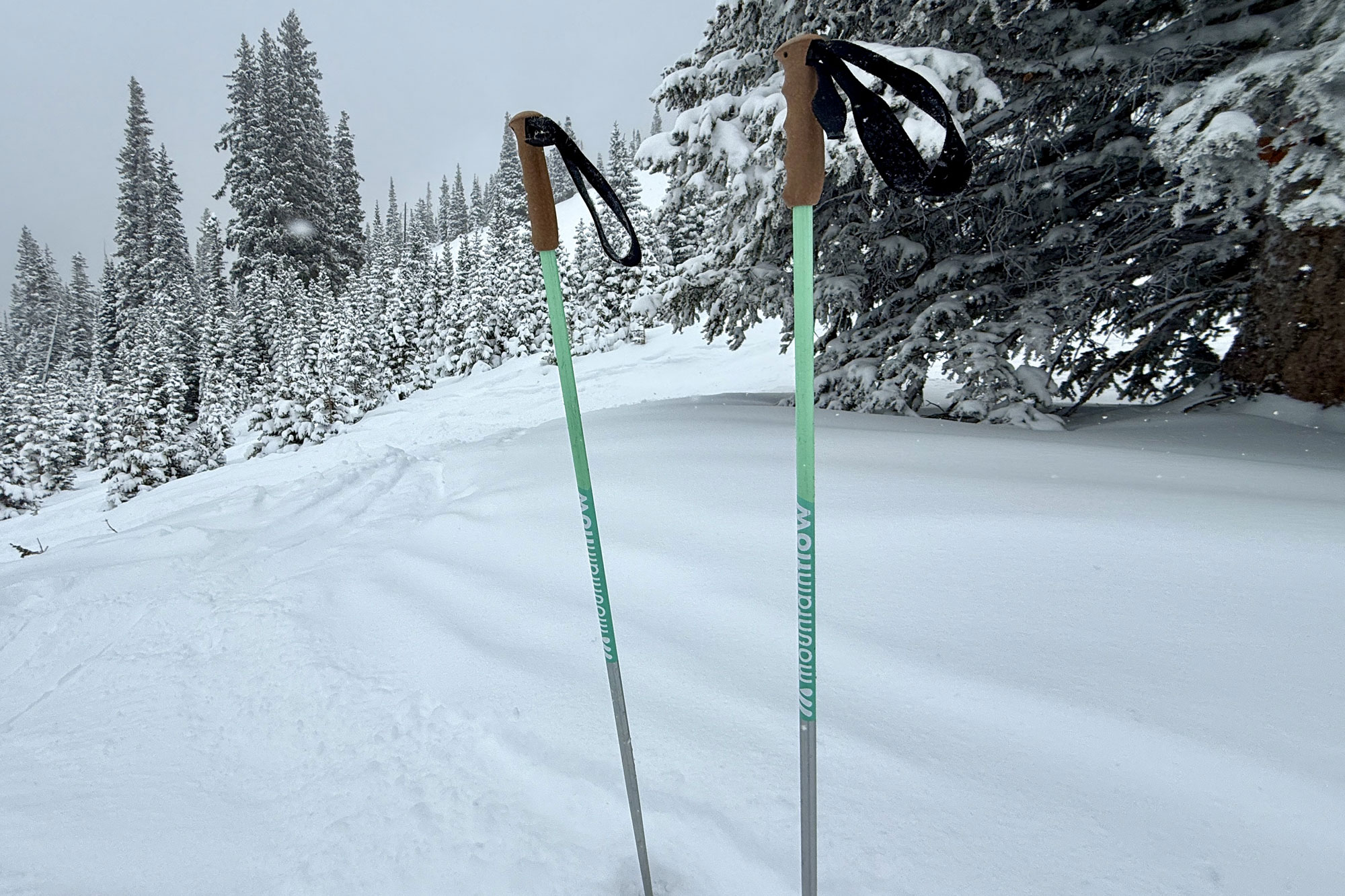 MountainFlow Corkpro Ski Poles in the snow