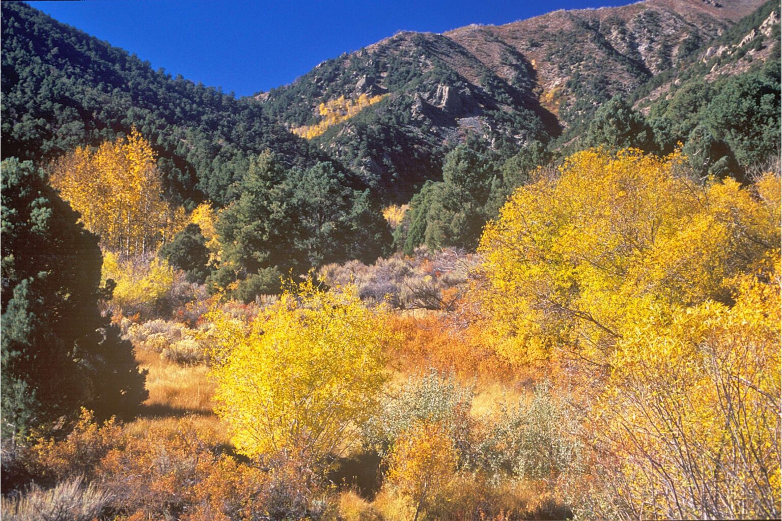 New Bill Aims to Transfer Thousands of Acres of Federal Land to This State