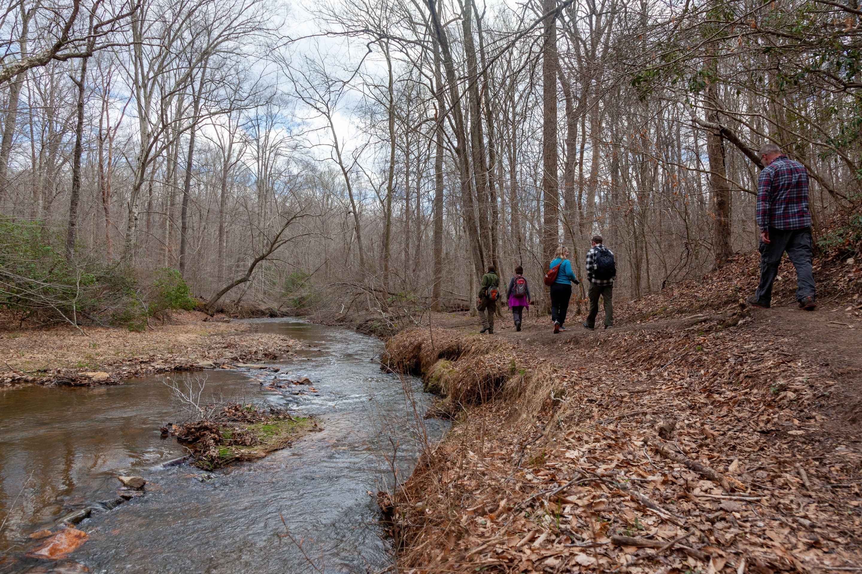 people hike on trail in forest along river