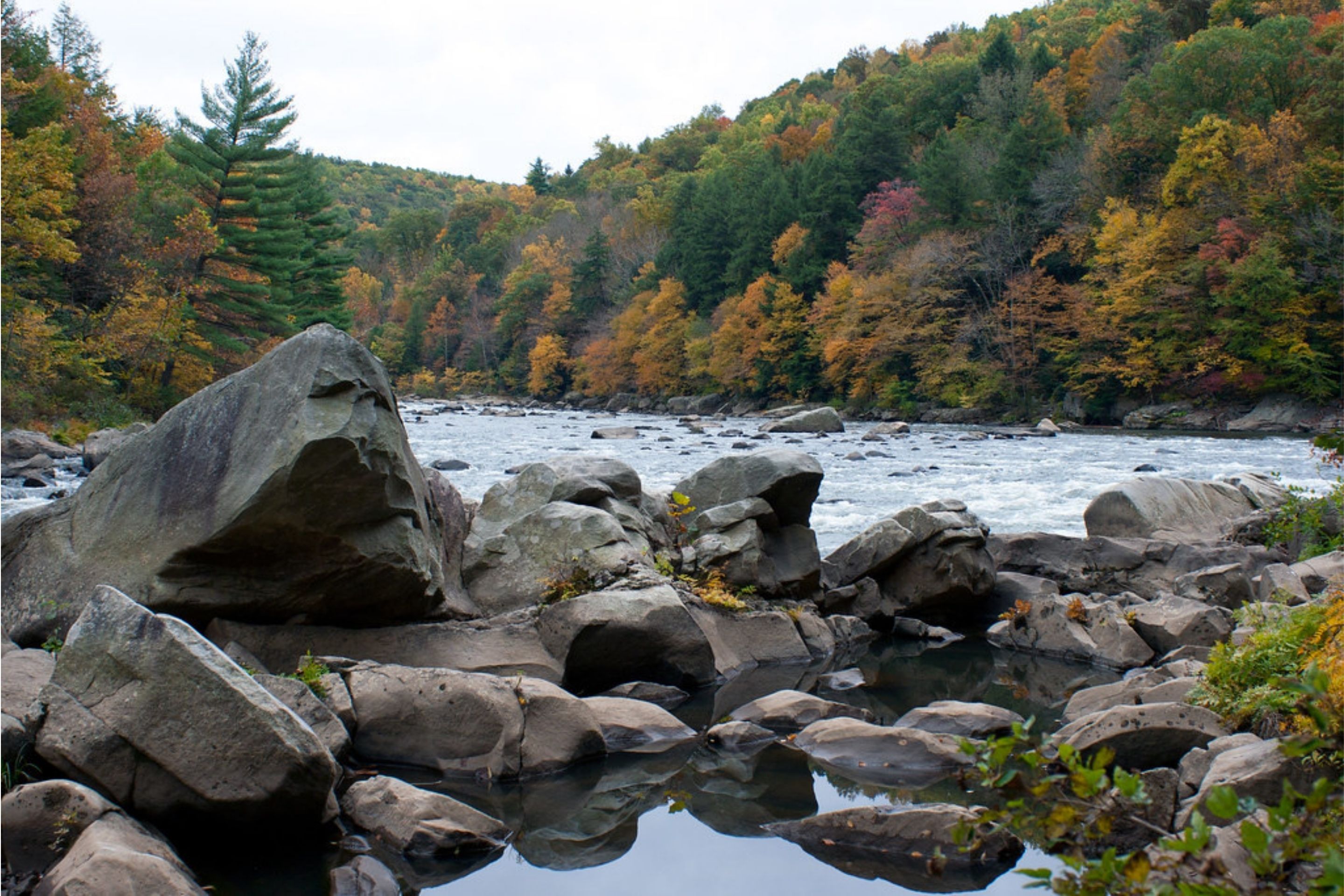river with boulders and forests