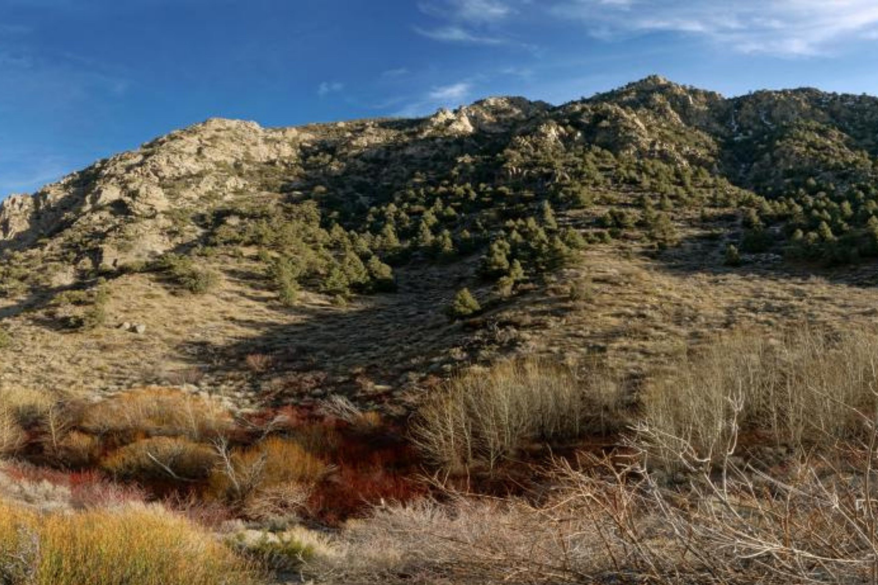 mountain with blue sky and forests