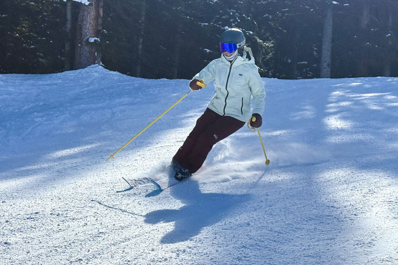 Yardsale P1 Resort Poles Review Yardsale P1 Resort Poles Review