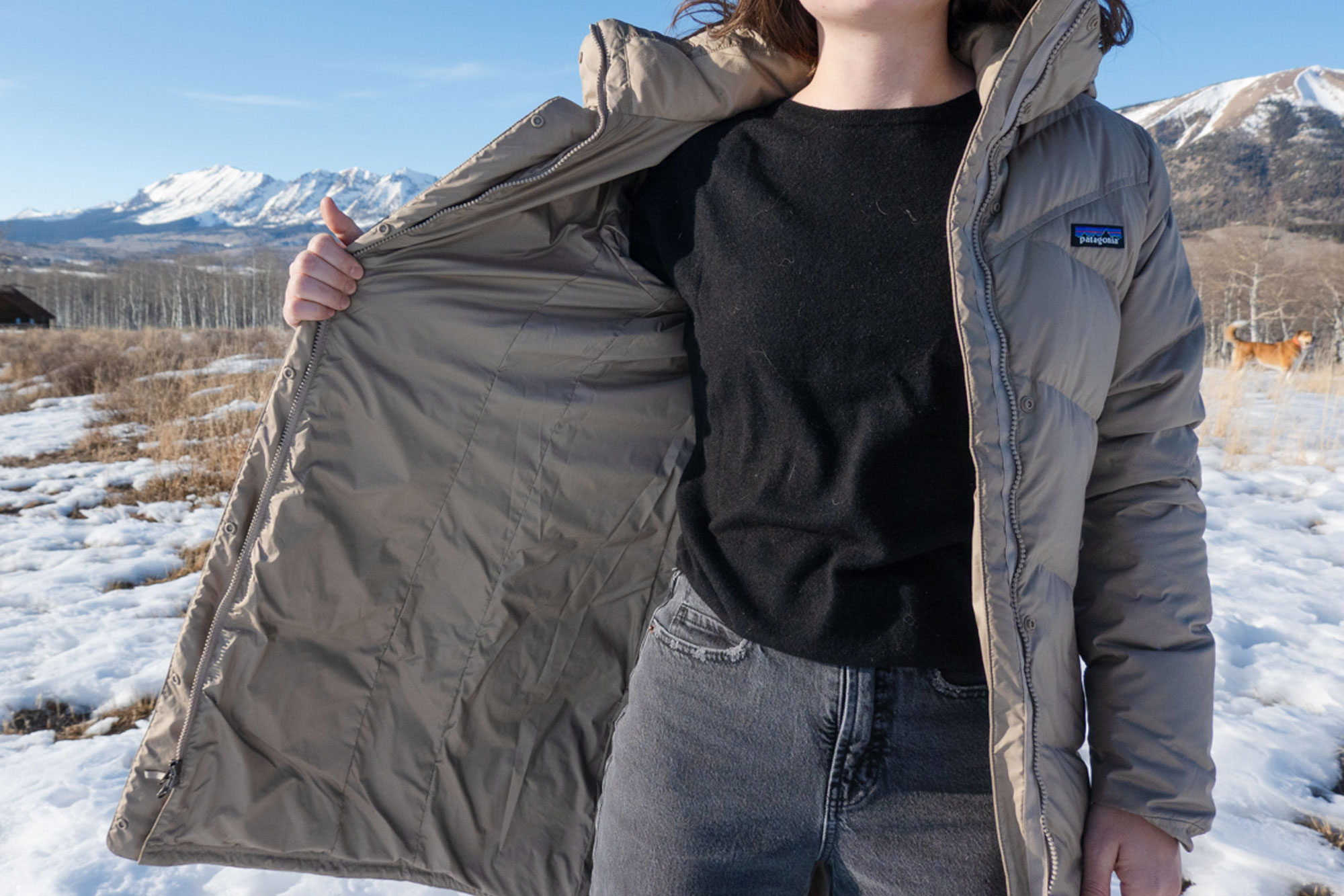 patagonia down with it parka lining