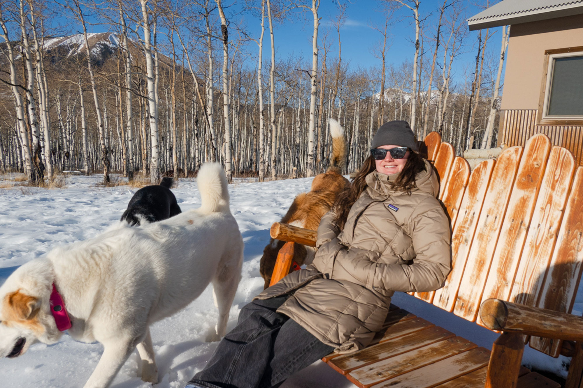 patagonia down with it parka