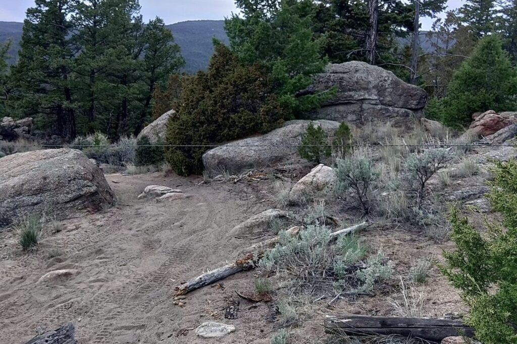 ‘Very Dangerous Situation:’ Single Strand of Barbed Wire Strung Across Popular Trail Hits Child ‘Very Dangerous Situation:’ Single Strand of Barbed Wire Strung Across Popular Trail Hits Child