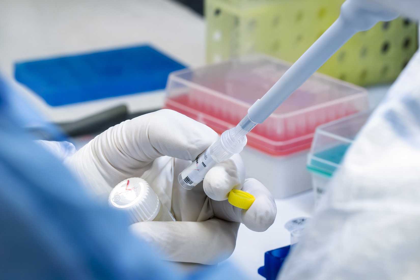  Single Nucleotide Polymorphisms (SNPs) library preparation procedure in the Armed Forces DNA Identification Laboratory 