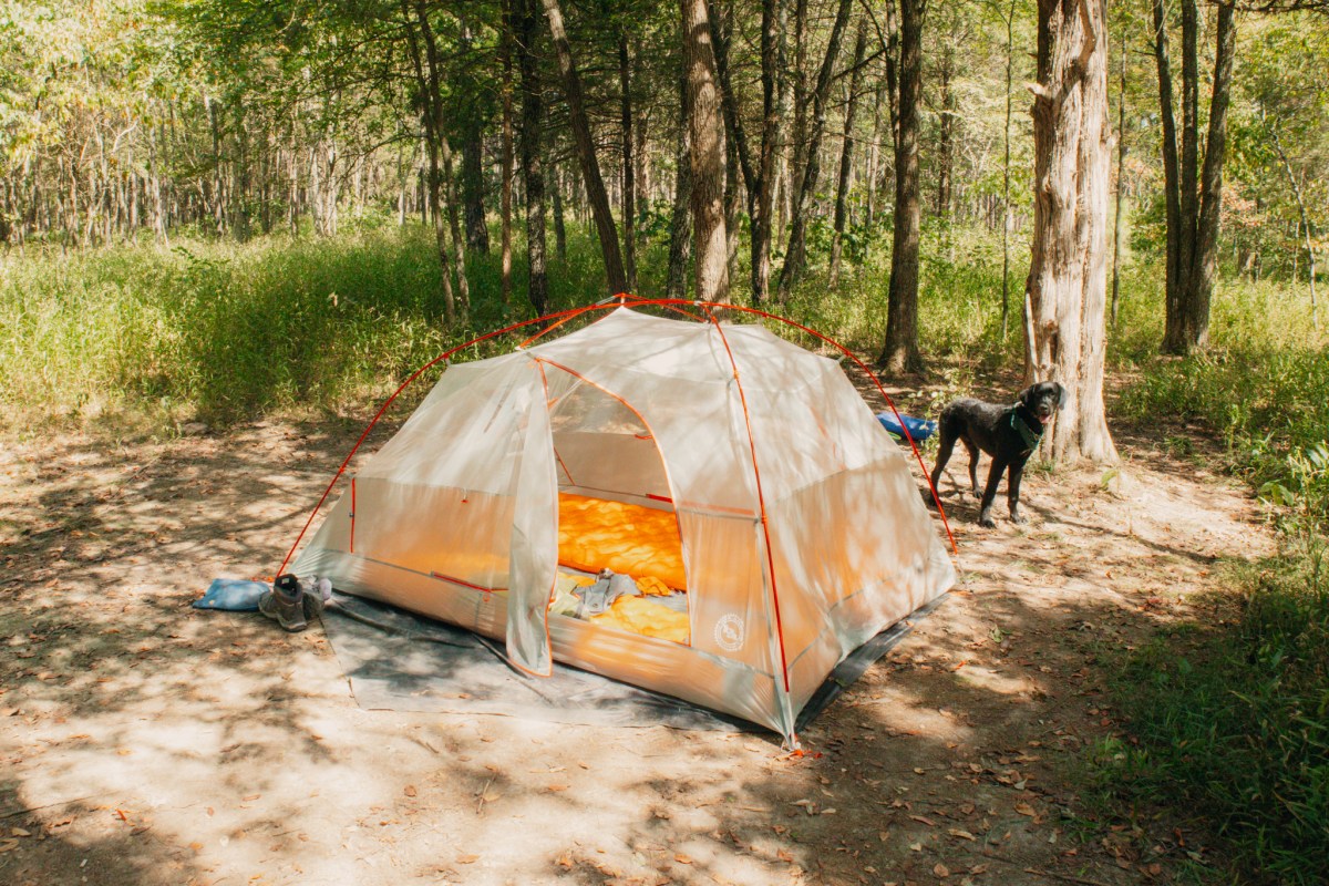 Copper Spur tent pitched in forest clearing with dog nearby