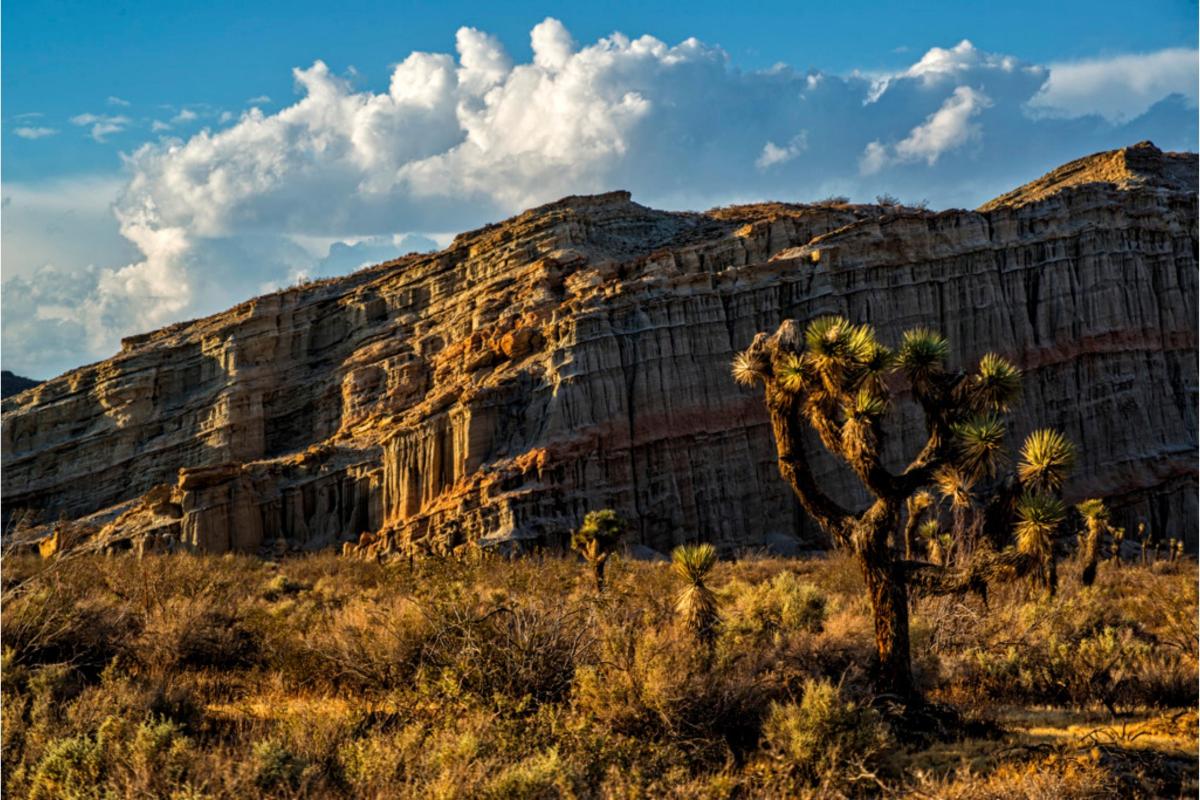striped rocky cliffs with blue sky and joshua trees