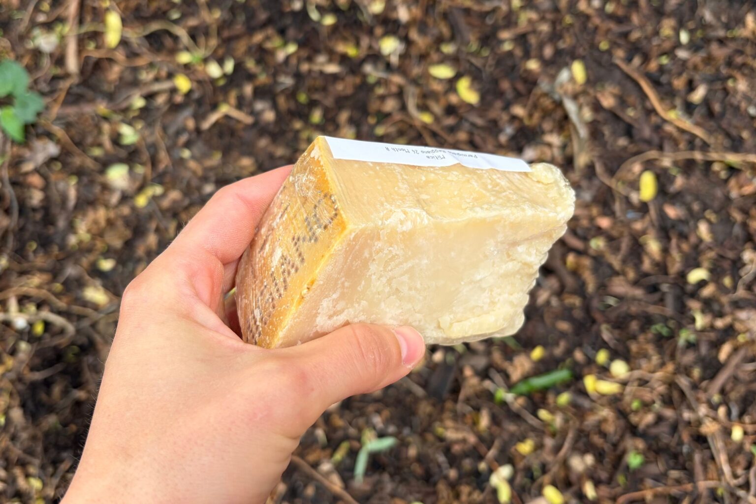 The Backpacking Hack That Changed My Life: Parmigiano-Reggiano