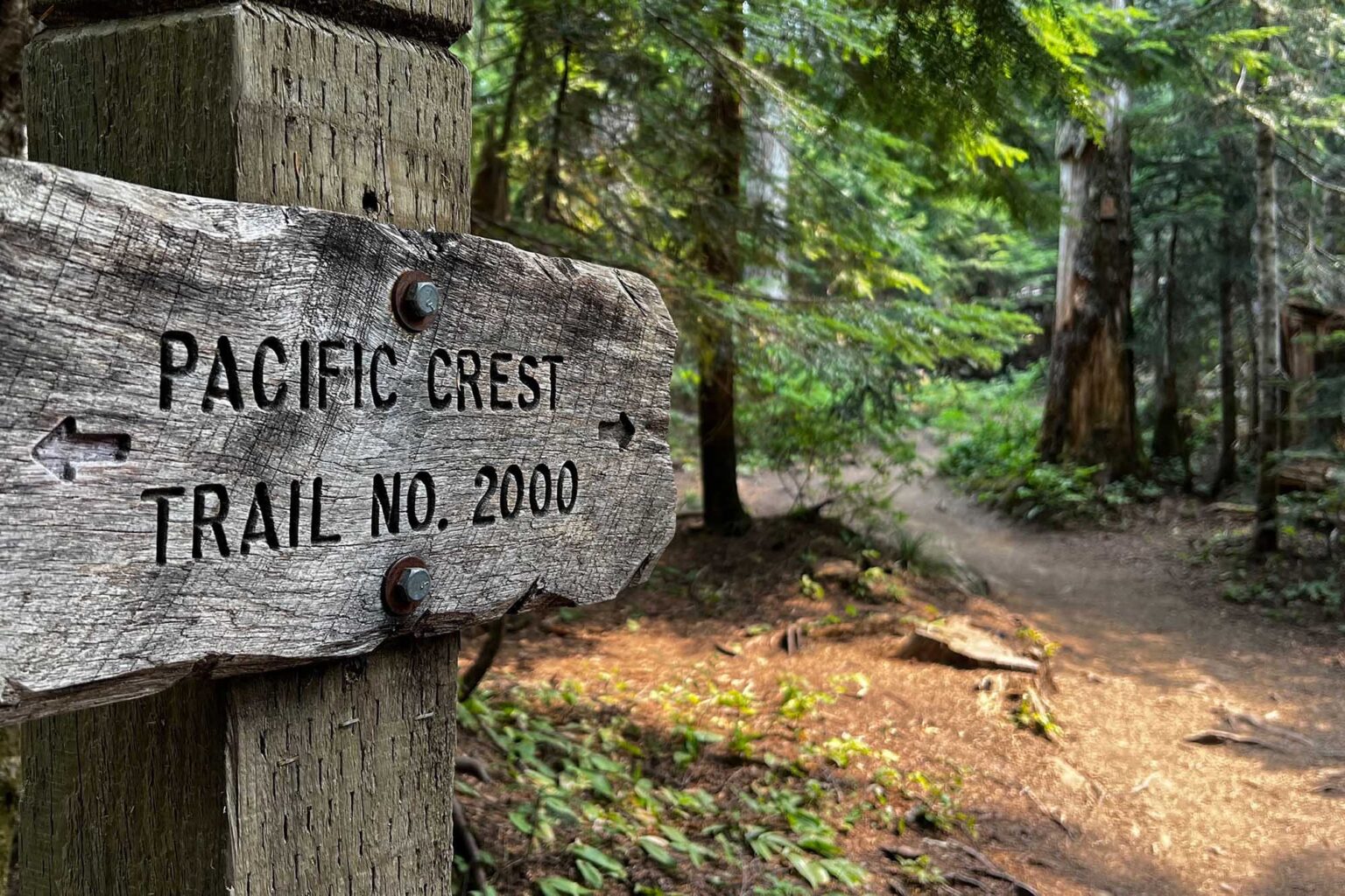 Thru-Hikers’ Worst Enemy Is Microscopic: Why Norovirus Is a Perennial Problem on Trails Thru-Hikers’ Worst Enemy Is Microscopic: Why Norovirus Is a Perennial Problem on Trails