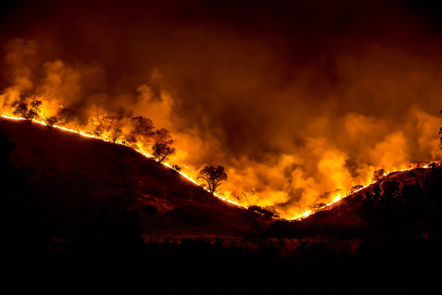 What the Science Says About Wildfires in the West
