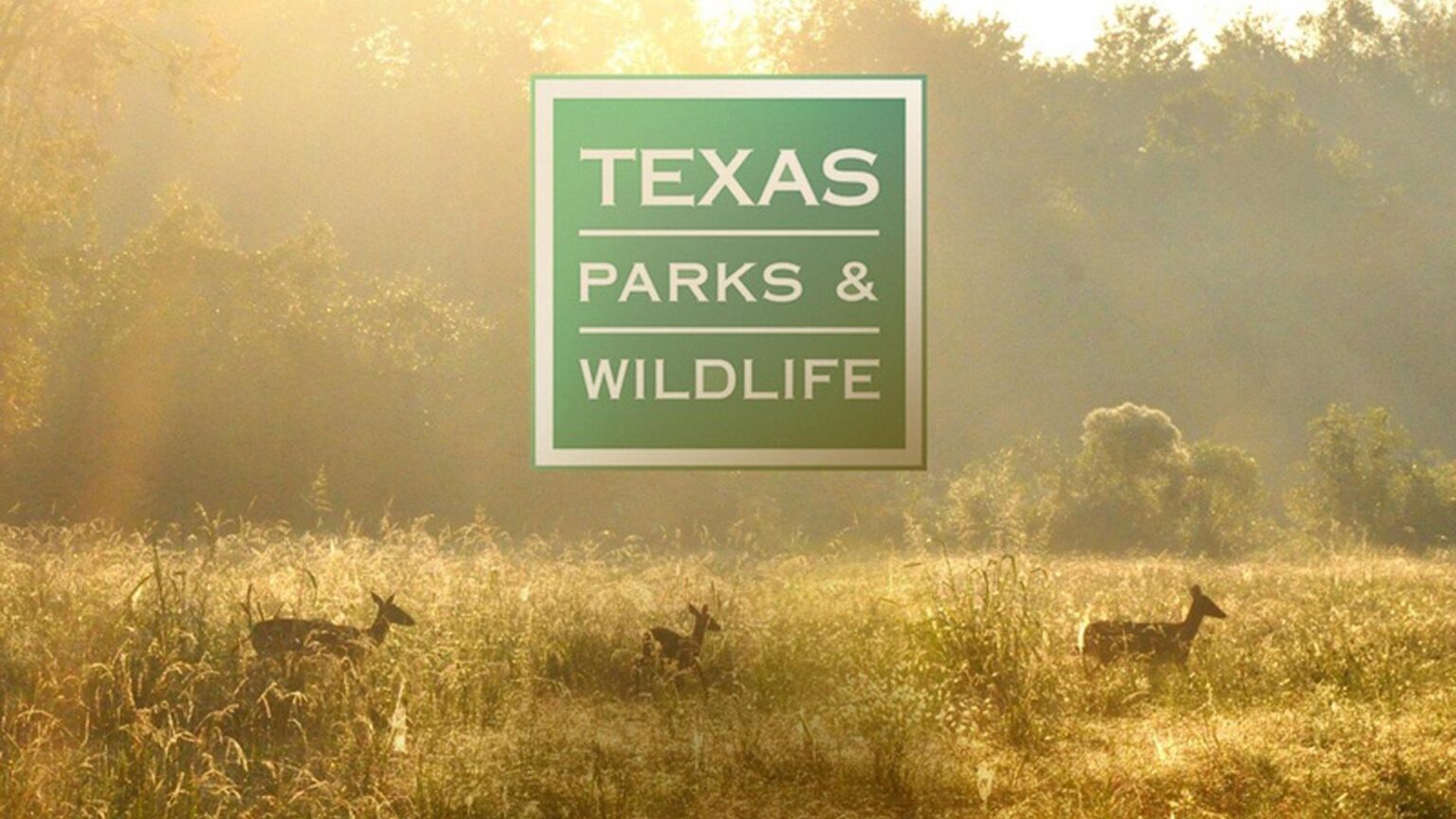 Texas Hunting, Fishing License Breach May Have Exposed Data of More Than 3 Million Customers Texas Hunting, Fishing License Breach May Have Exposed Data of More Than 3 Million Customers