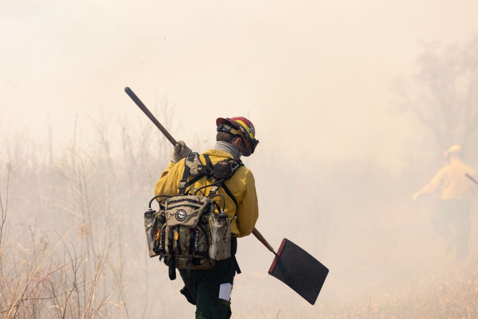 New Bill Would Block Public Lands Layoffs Until 2030
