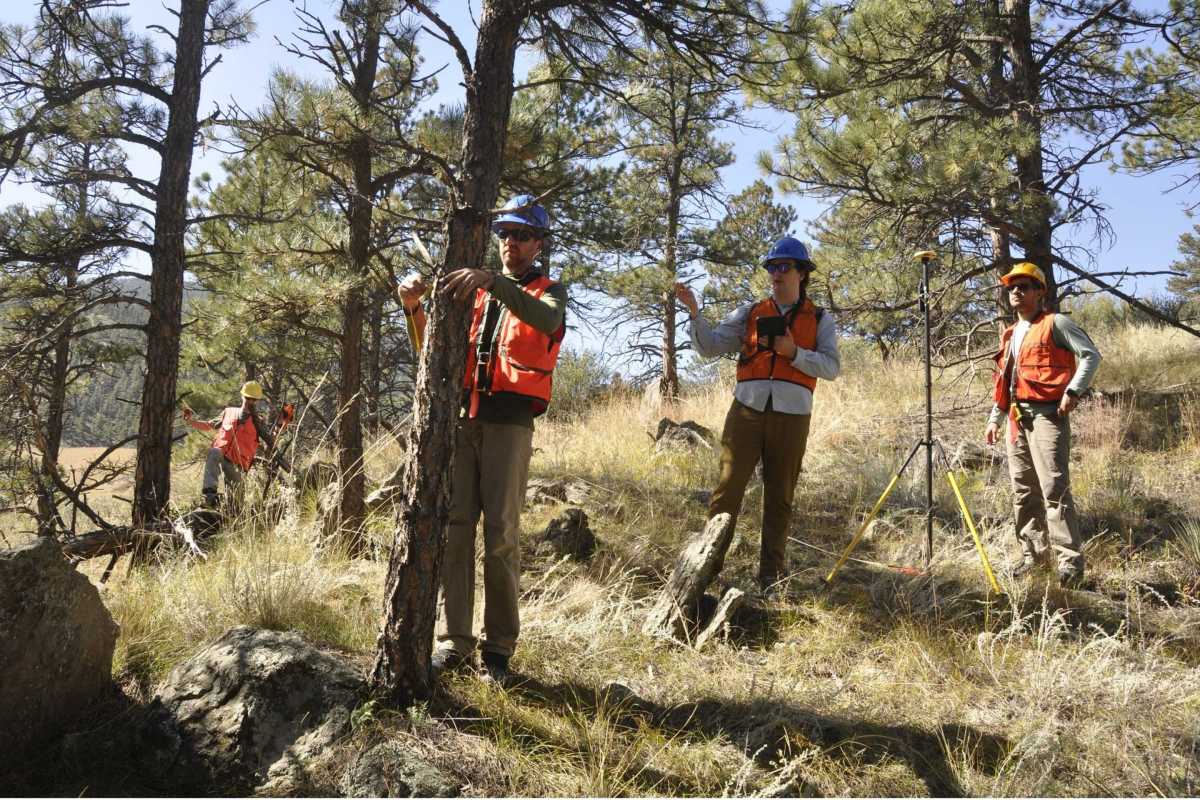 group of surveyors in forest