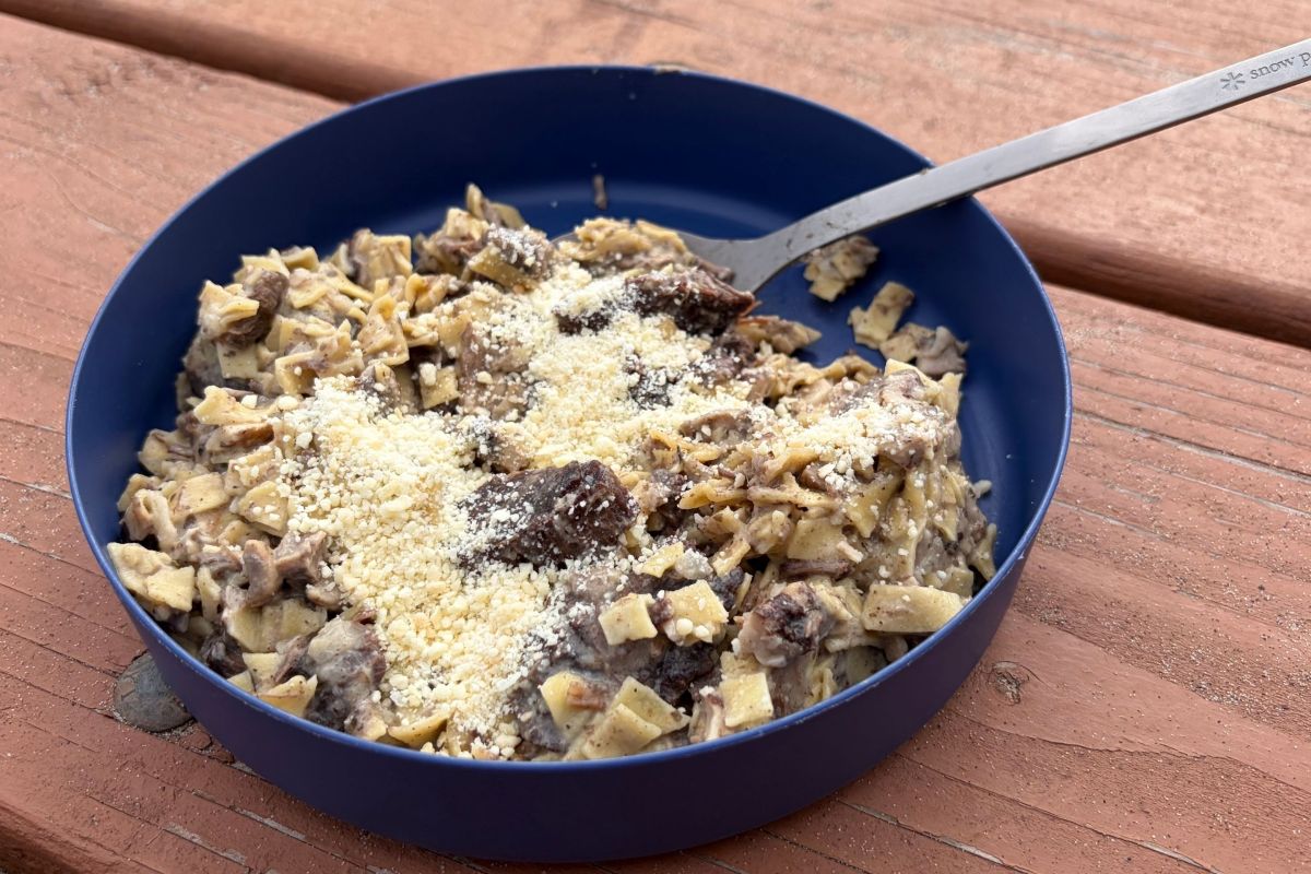 bowl of steak and noodles in bowl on picnic bench