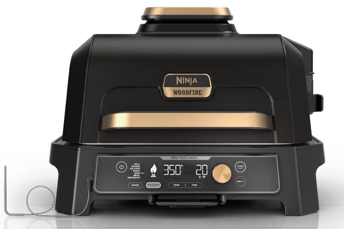ninja woodfire cooler