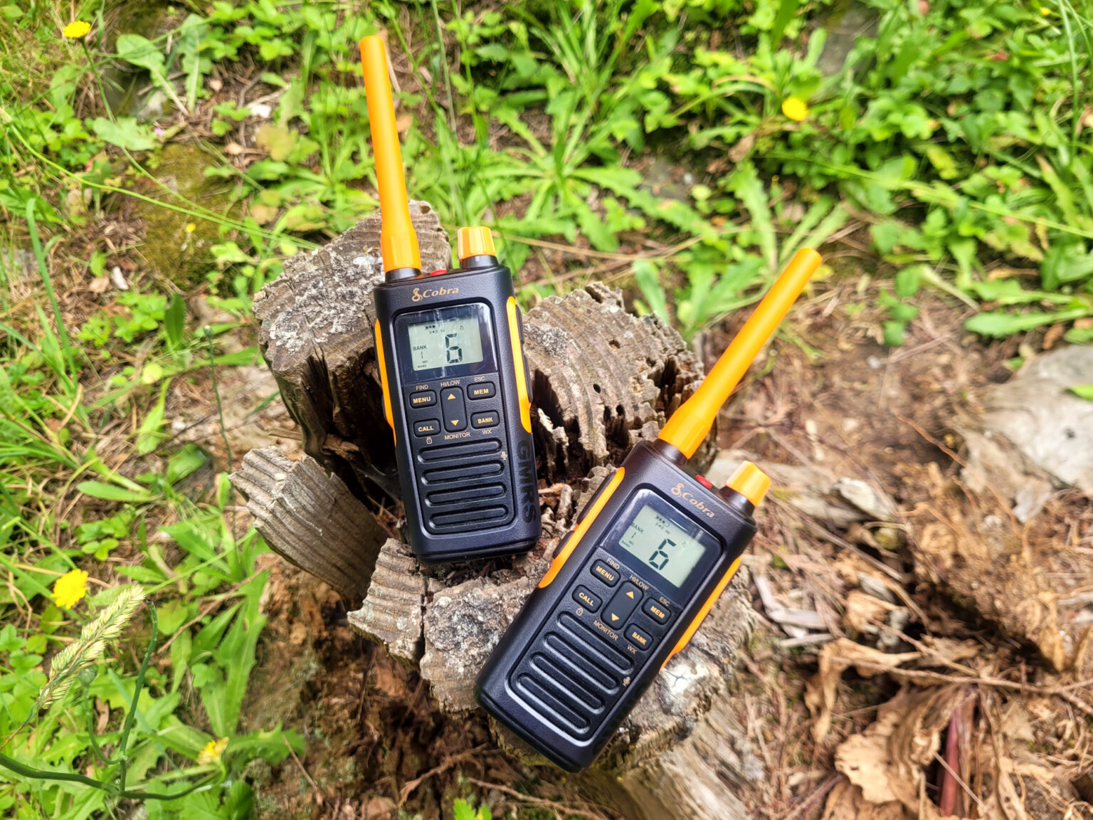 Cobra TrailBlazer 450 Review | GearJunkie Tested