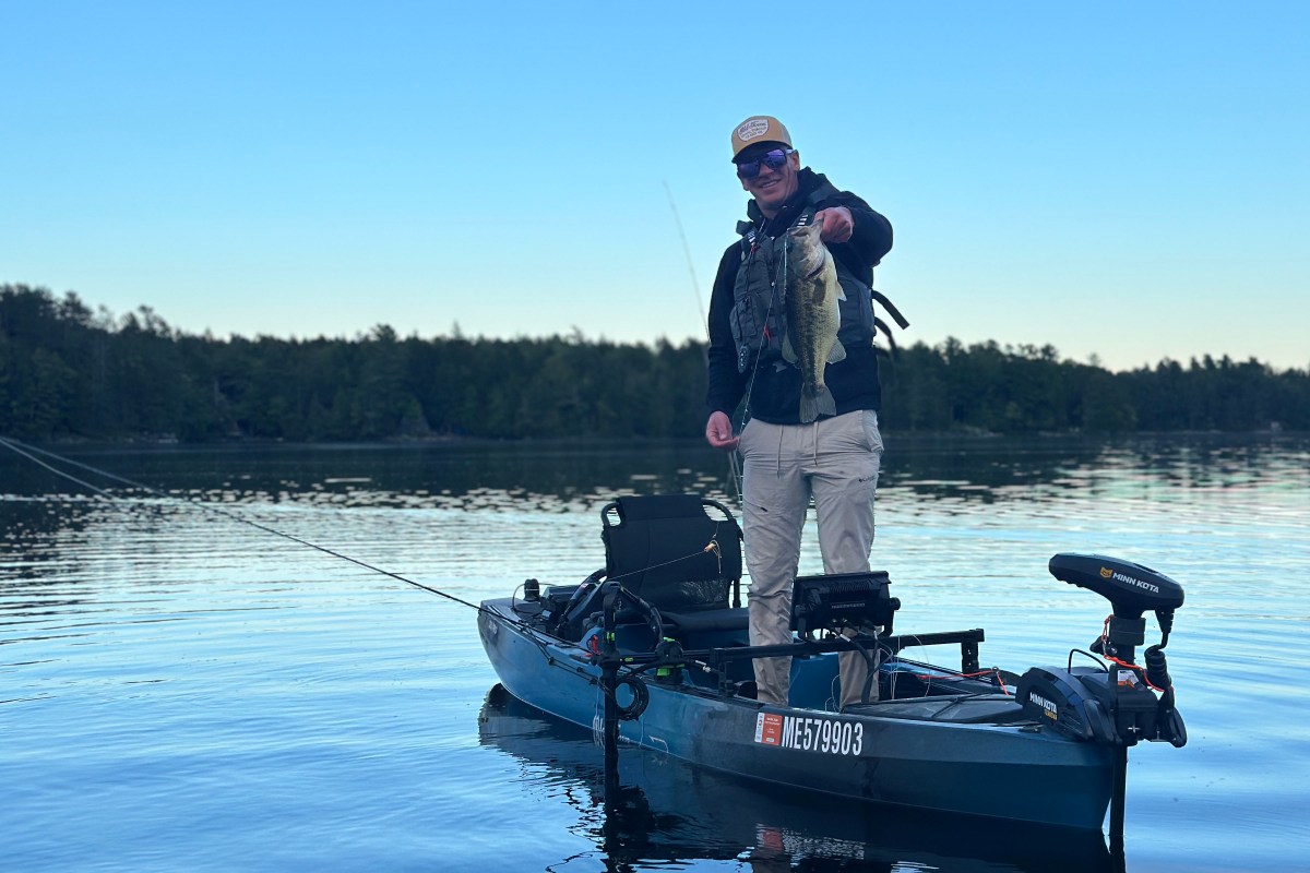A fly fisherman holding a bass in a kayak.