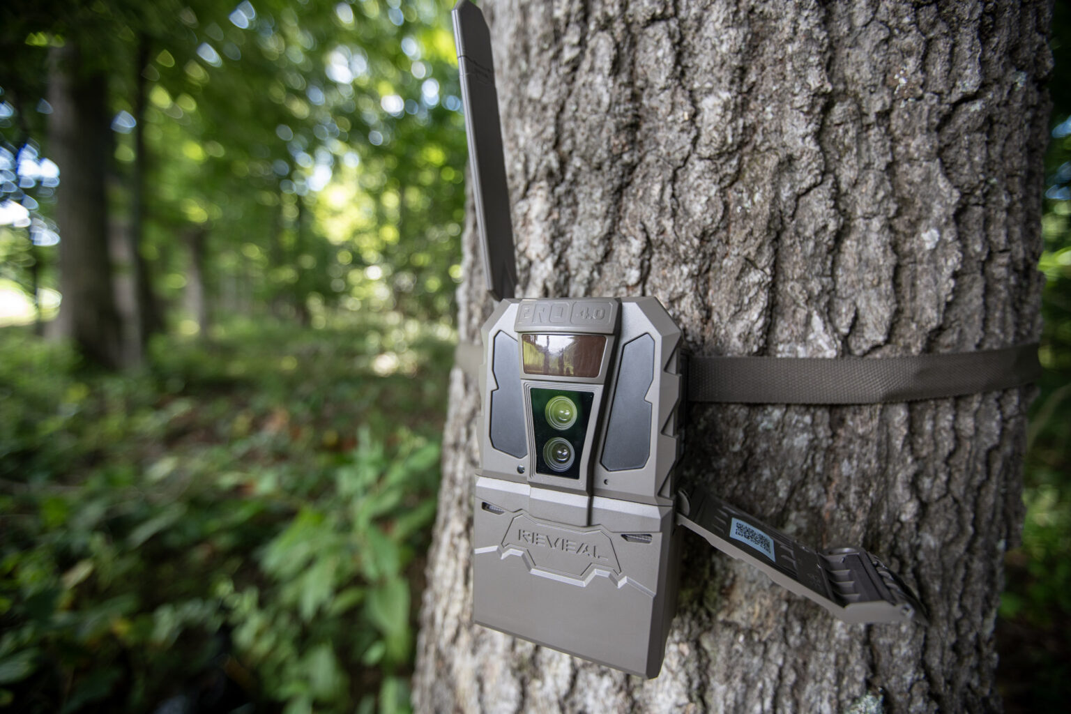 TACTACAM REVEAL 4.0 Trail Cameras Keep You in the Woods TACTACAM REVEAL 4.0 Trail Cameras Keep You in the Woods