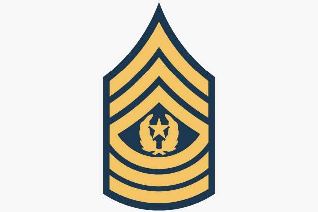 Army Command Sergeant Major (E-9)